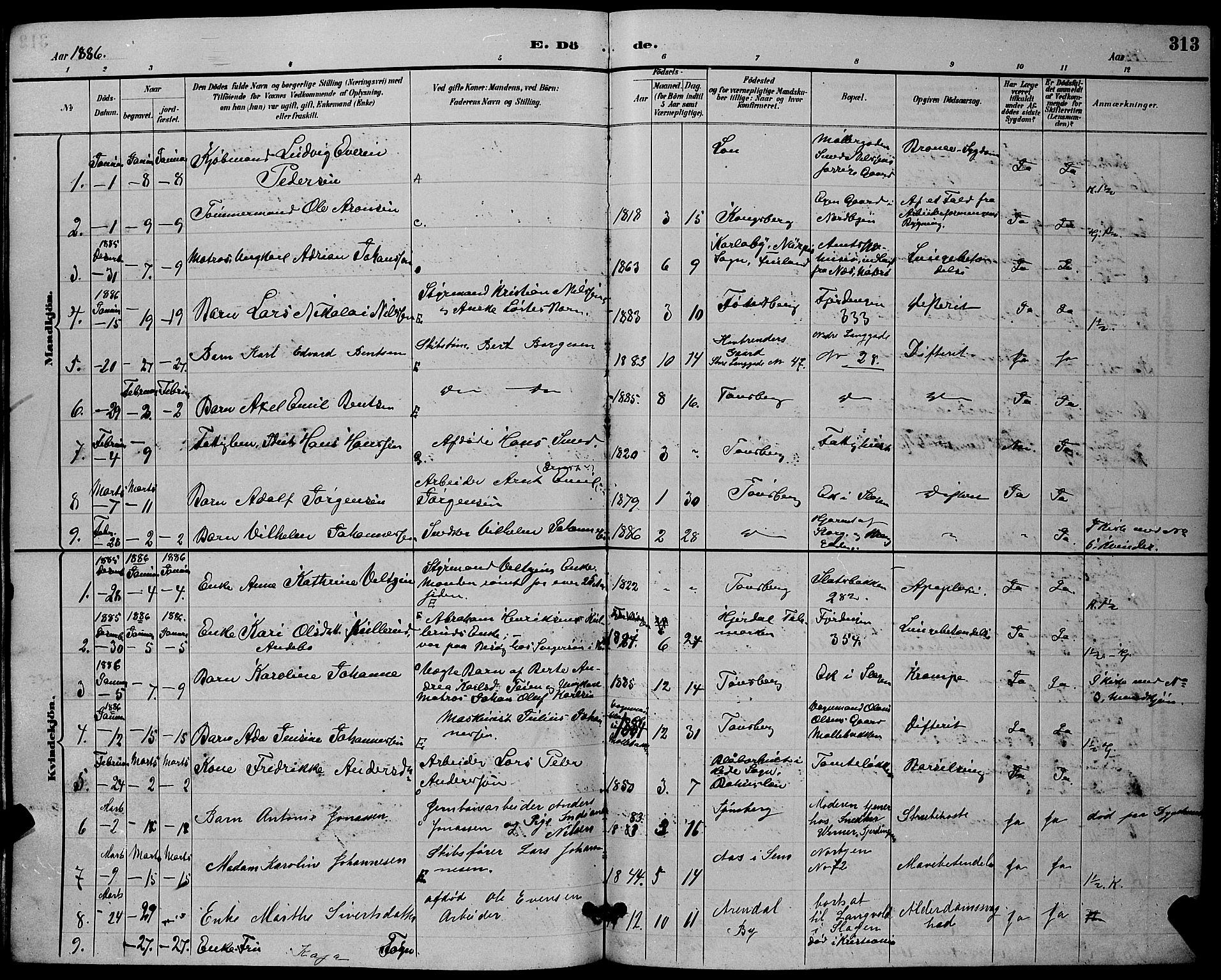 Tønsberg kirkebøker, AV/SAKO-A-330/G/Ga/L0006: Parish register (copy) no. 6, 1885-1895, p. 313