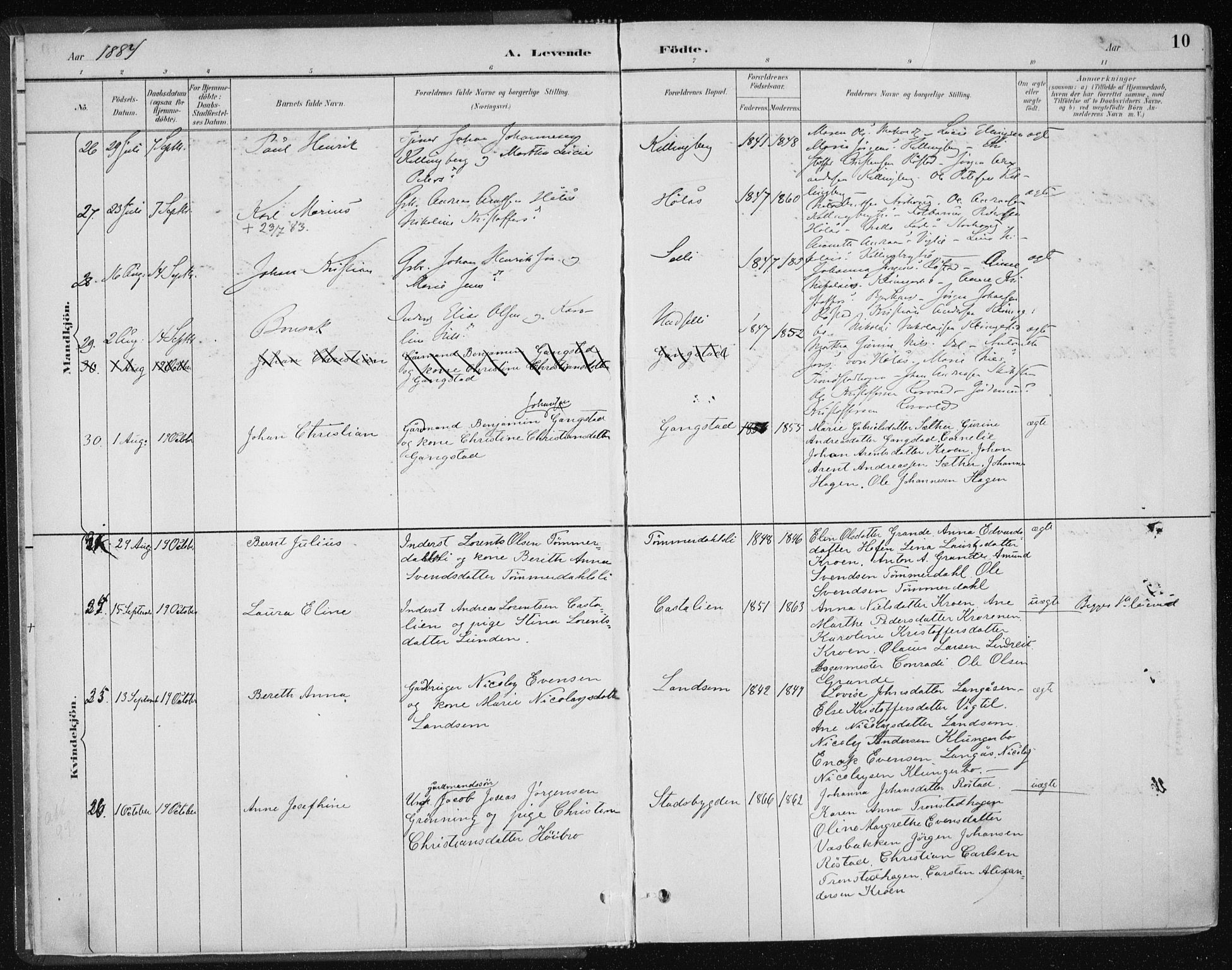 Ministerialprotokoller, klokkerbøker og fødselsregistre - Nord-Trøndelag, AV/SAT-A-1458/701/L0010: Parish register (official) no. 701A10, 1883-1899, p. 10