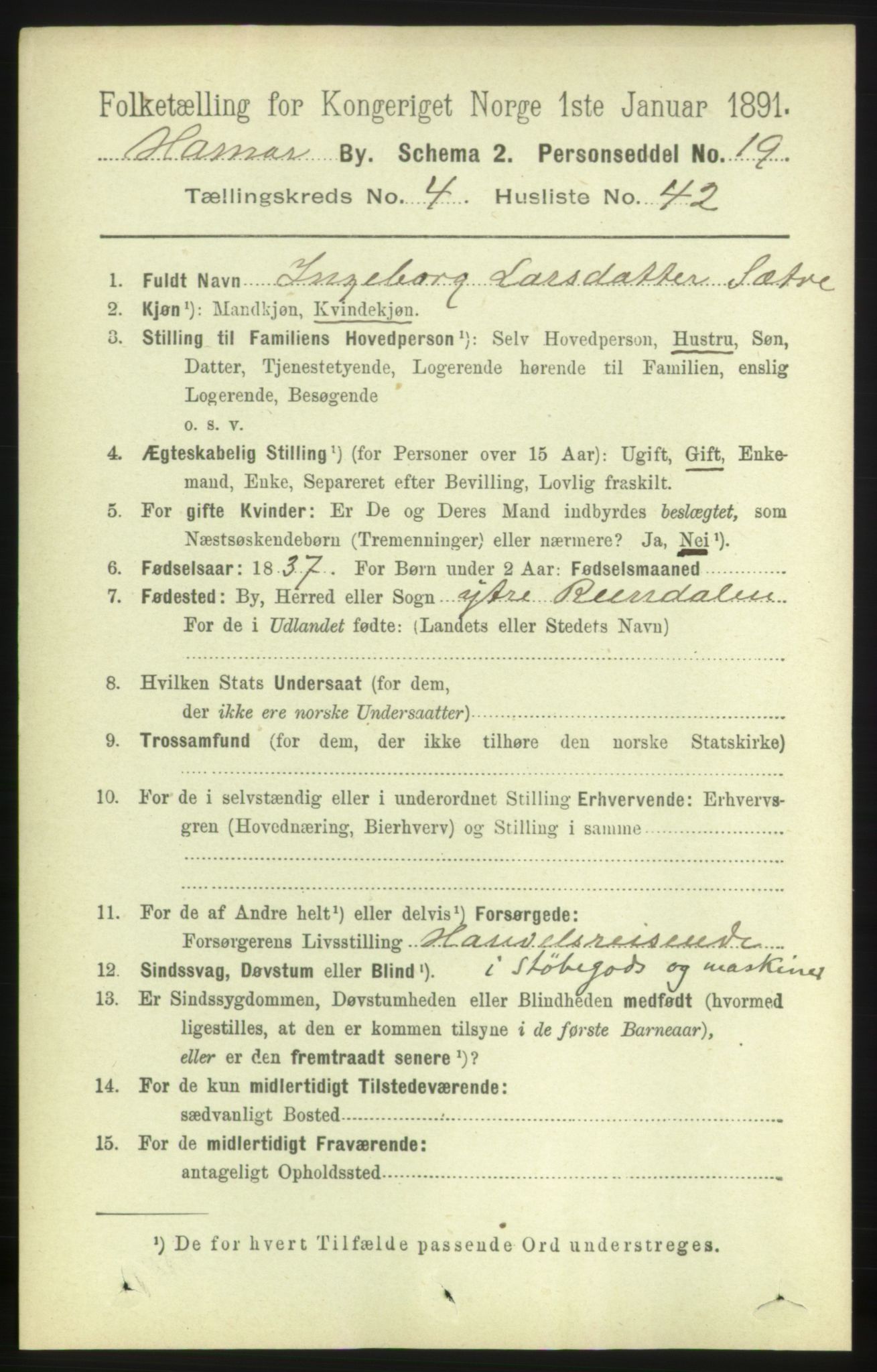 RA, 1891 census for 0401 Hamar, 1891, p. 3611