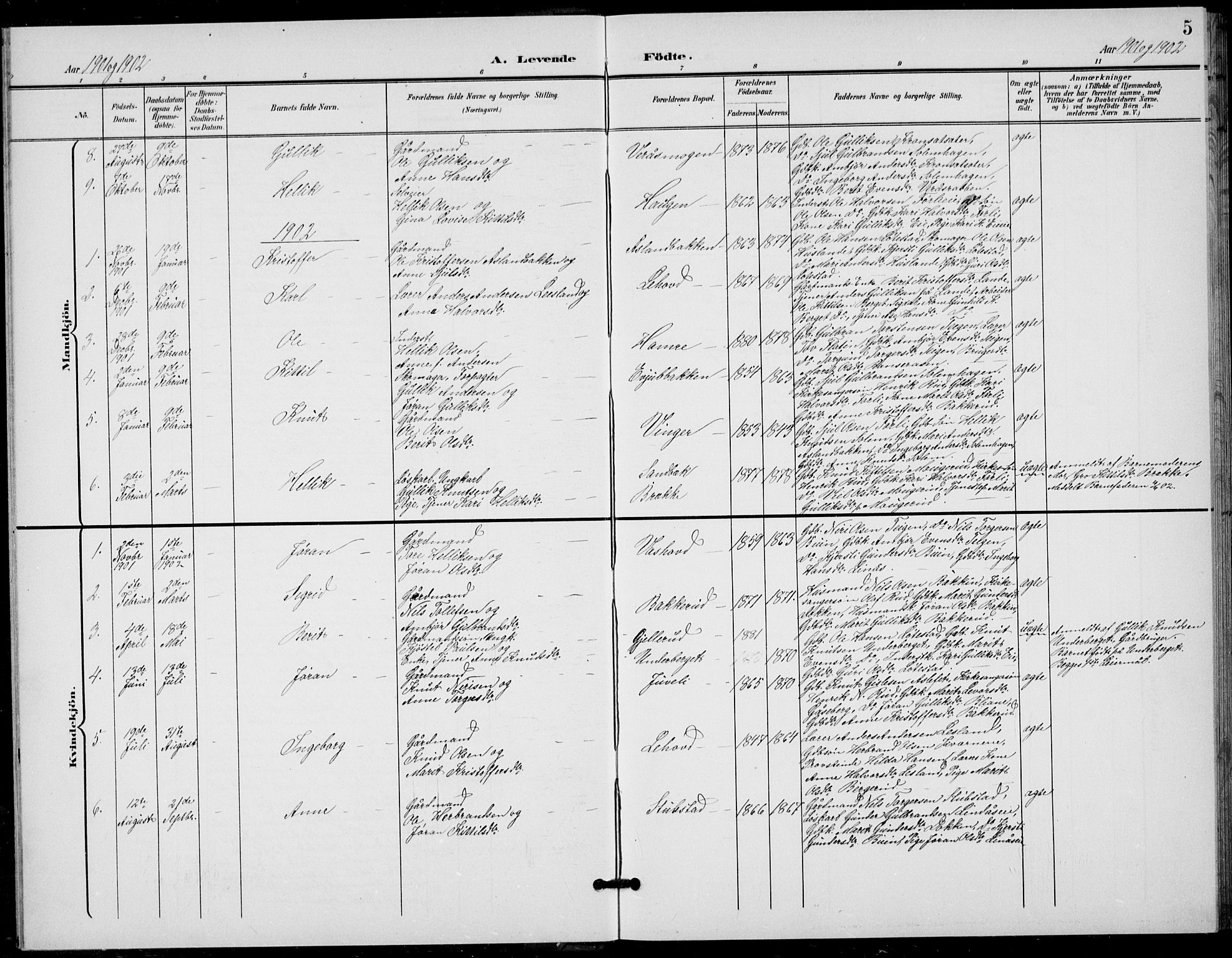 Flesberg kirkebøker, SAKO/A-18/G/Ga/L0005: Parish register (copy) no. I 5, 1899-1908, p. 5