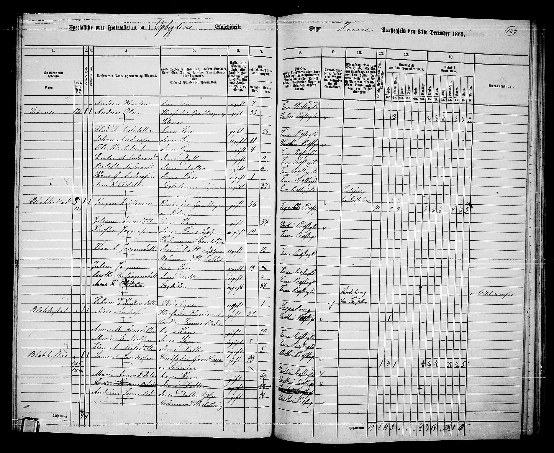 RA, 1865 census for Tune, 1865, p. 205