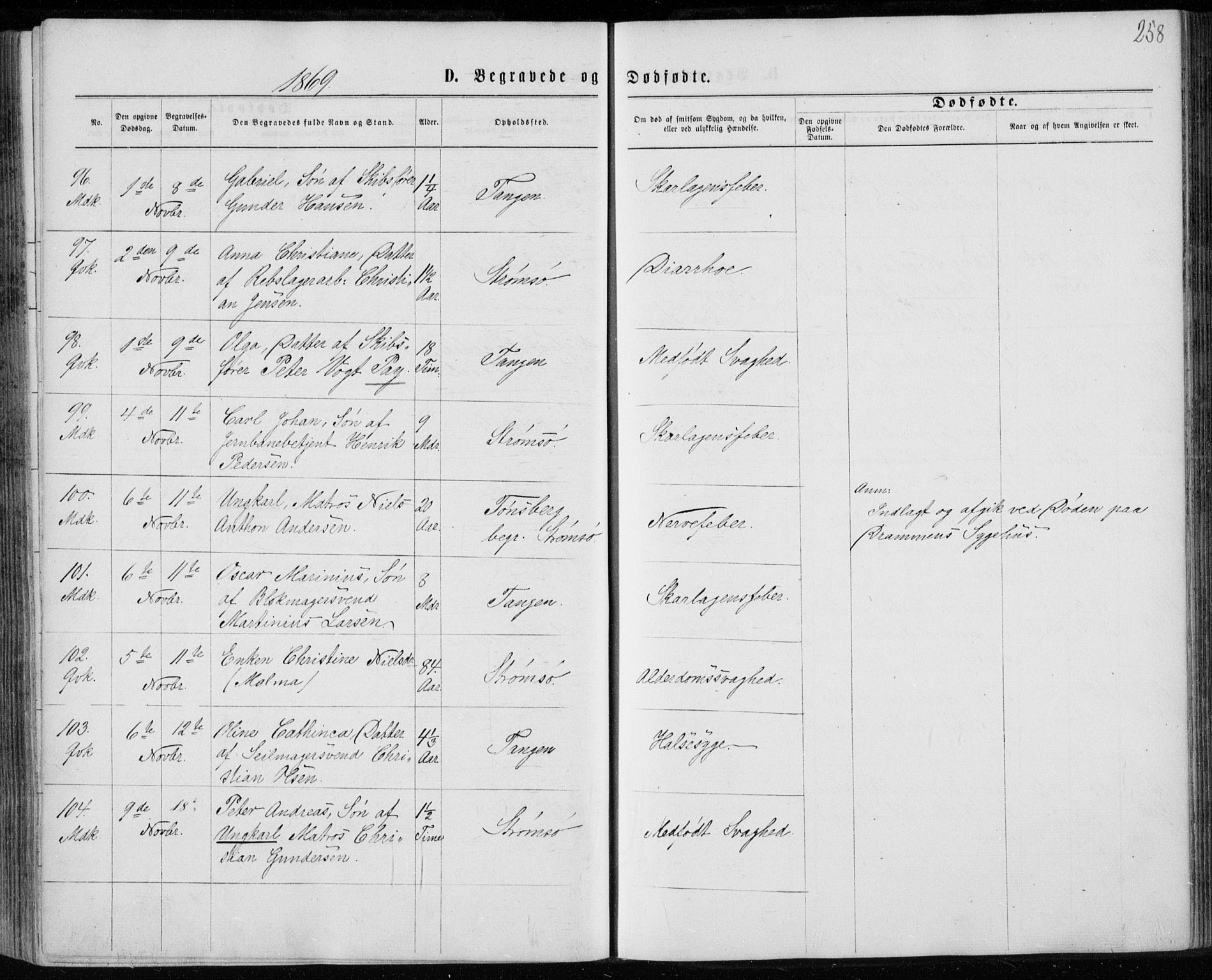 Strømsø kirkebøker, SAKO/A-246/F/Fa/L0016: Parish register (official) no. I 16, 1868-1873, p. 258