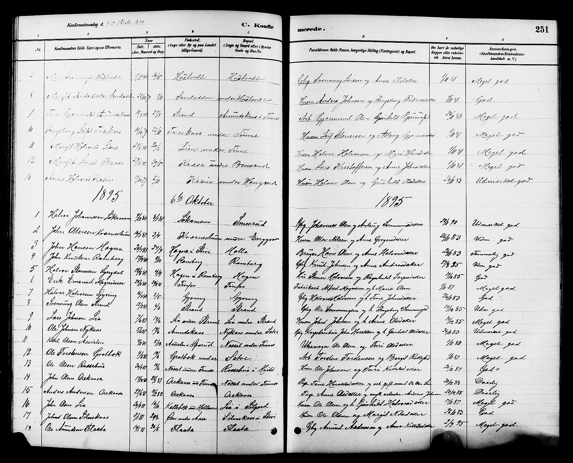 Heddal kirkebøker, SAKO/A-268/G/Ga/L0002: Parish register (copy) no. I 2, 1879-1908, p. 251