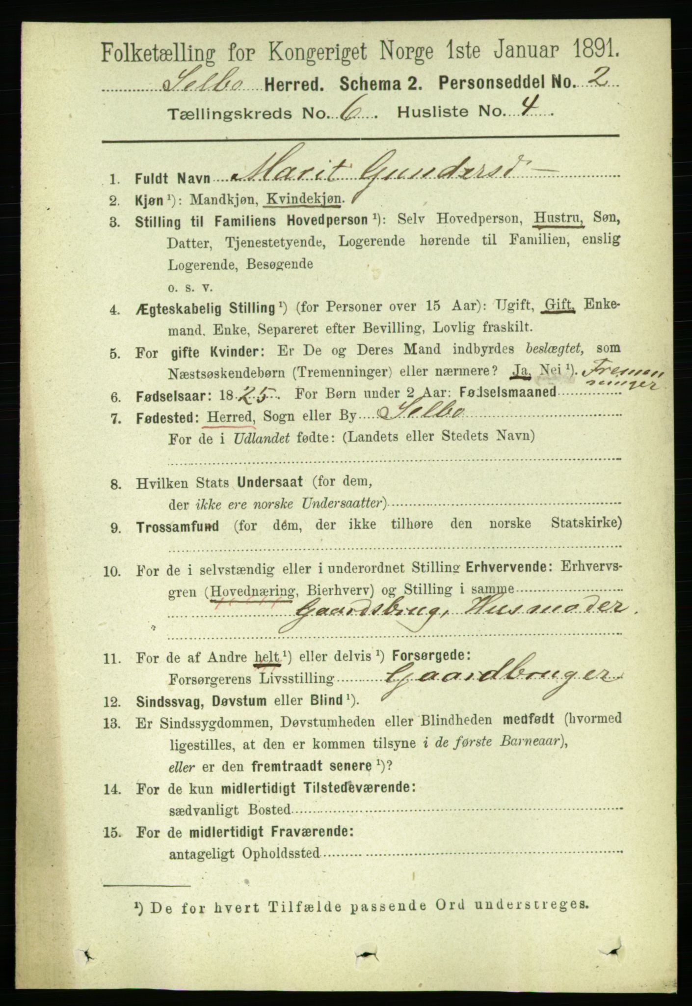 RA, 1891 census for 1664 Selbu, 1891, p. 2147