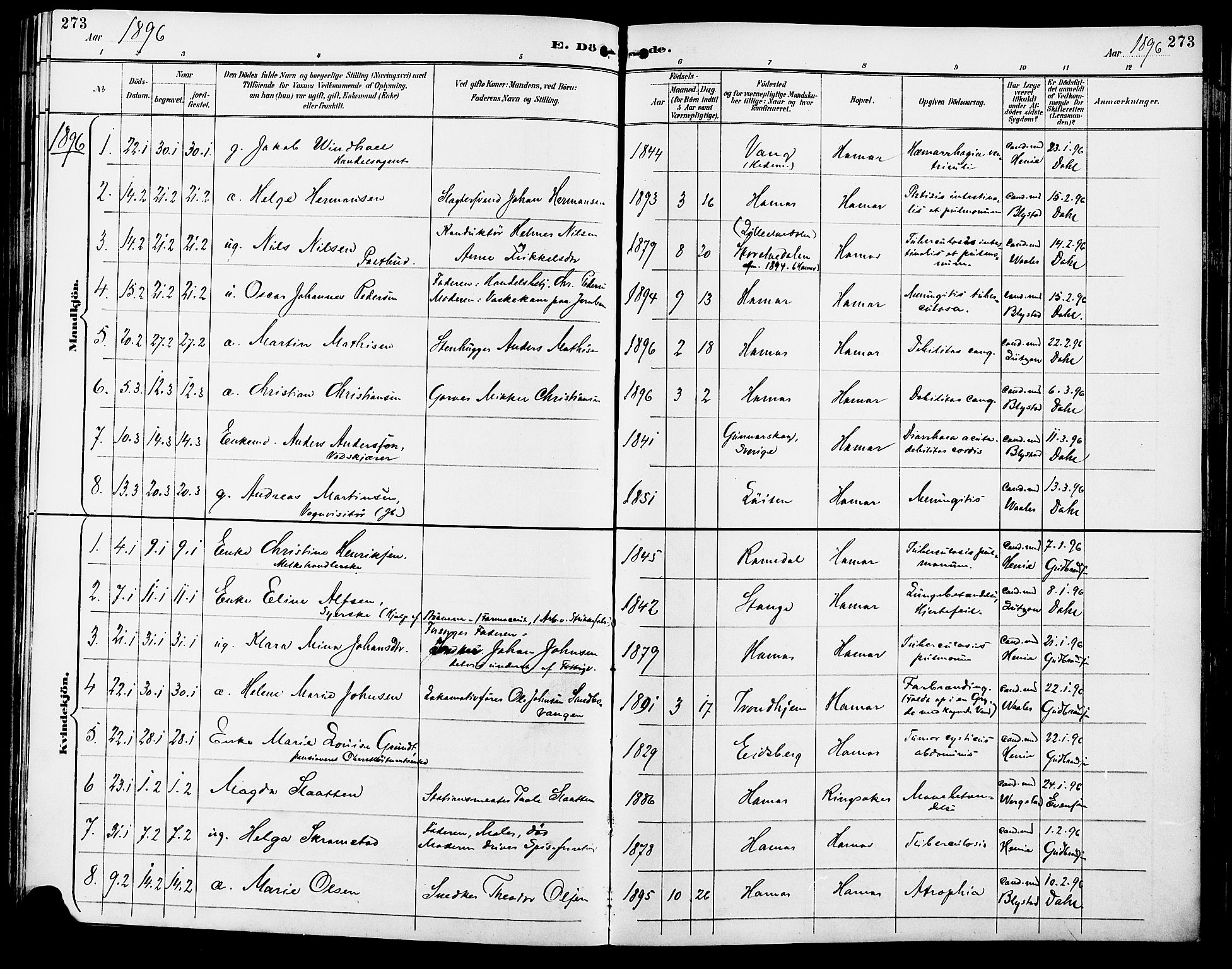 Vang prestekontor, Hedmark, AV/SAH-PREST-008/H/Ha/Haa/L0017: Parish register (official) no. 17, 1890-1899, p. 273