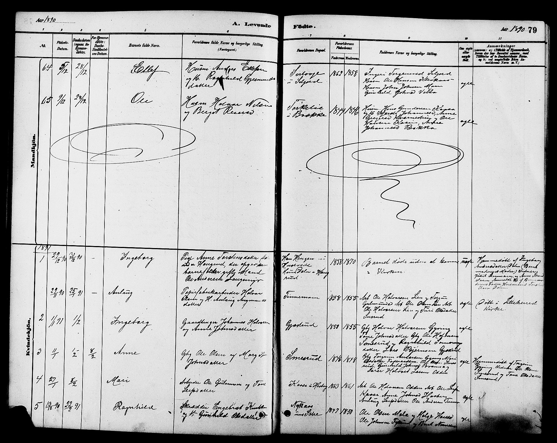 Heddal kirkebøker, SAKO/A-268/G/Ga/L0002: Parish register (copy) no. I 2, 1879-1908, p. 79