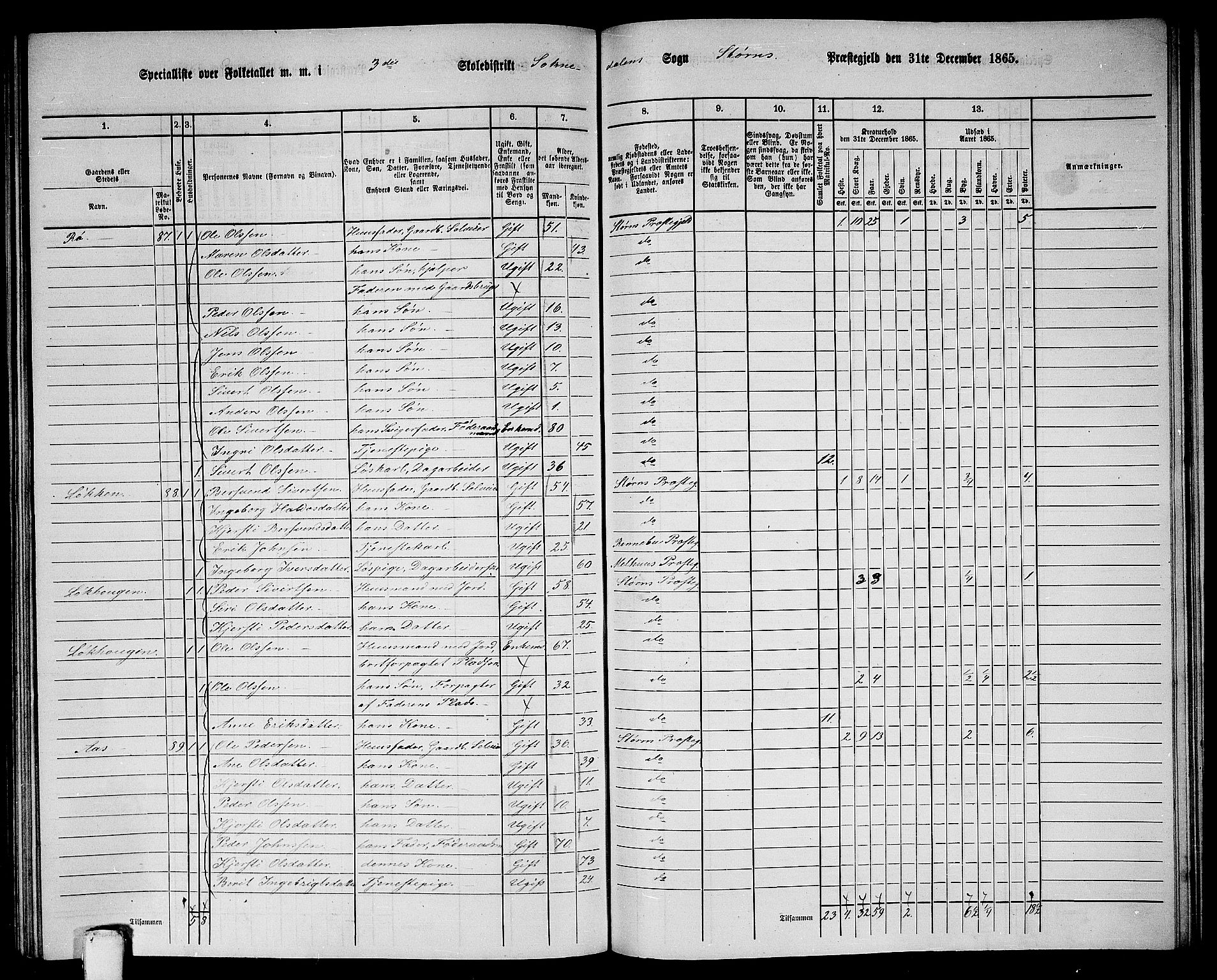 RA, 1865 census for Støren, 1865, p. 262