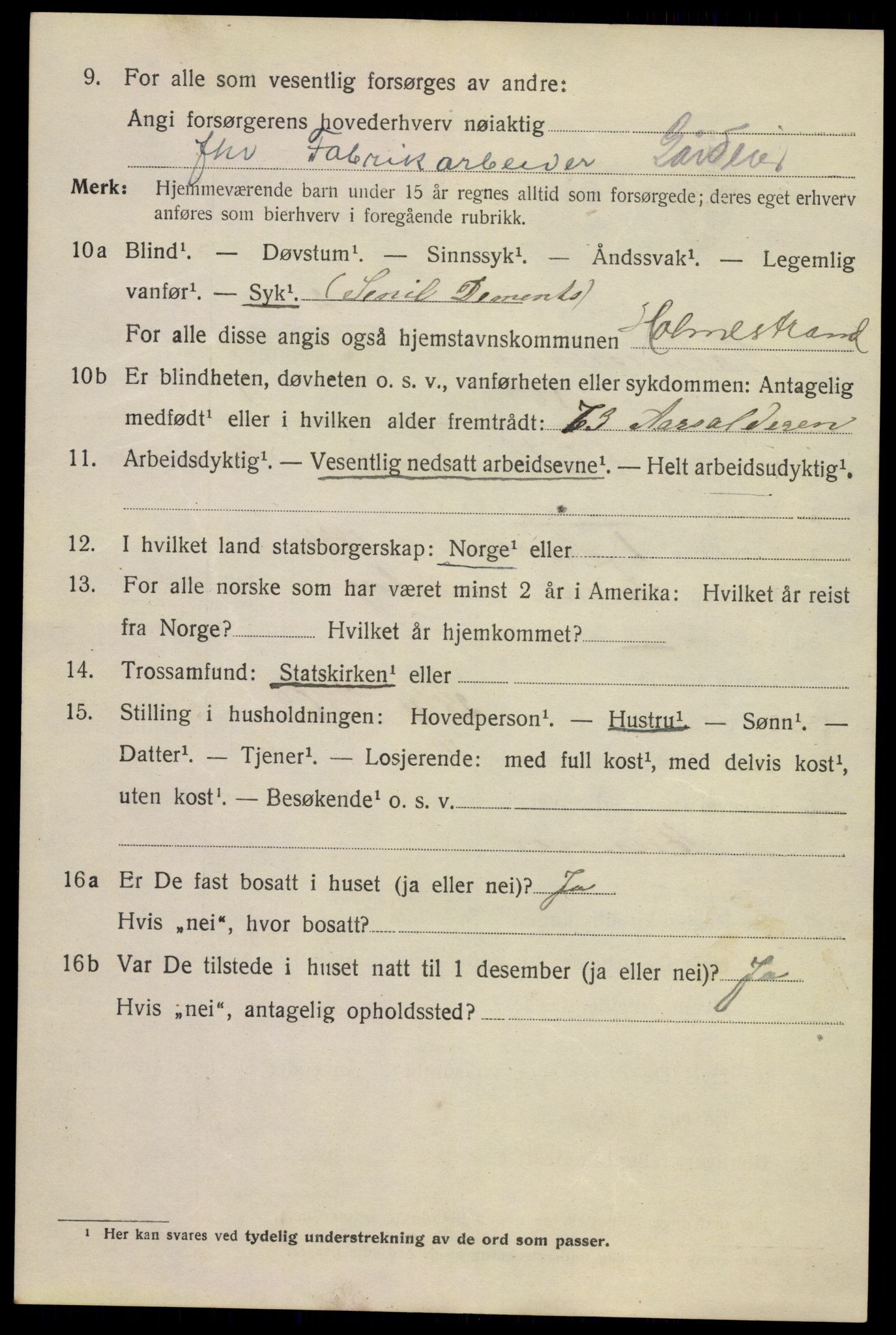 SAKO, 1920 census for Holmestrand, 1920, p. 5095