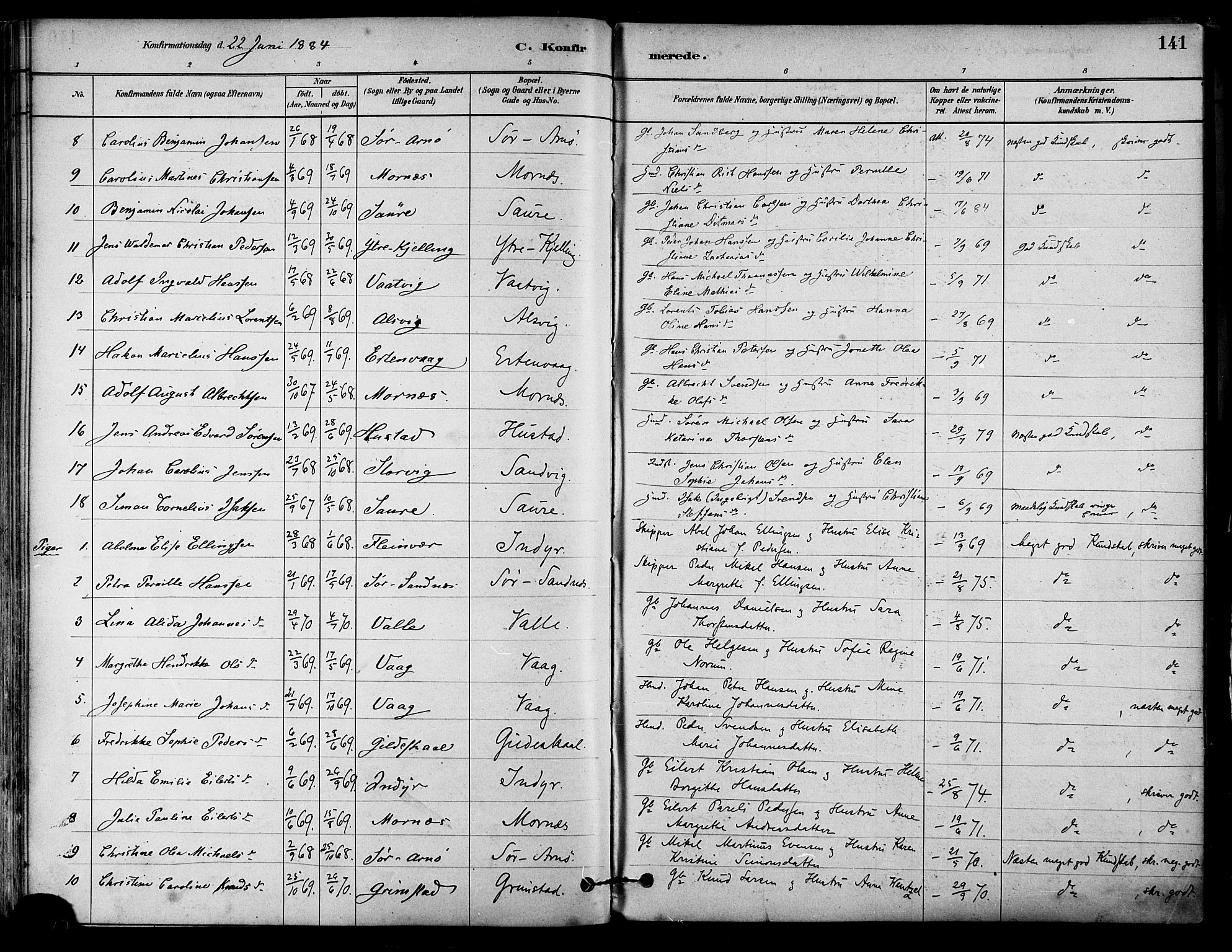 Ministerialprotokoller, klokkerbøker og fødselsregistre - Nordland, AV/SAT-A-1459/805/L0099: Parish register (official) no. 805A06, 1880-1891, p. 141