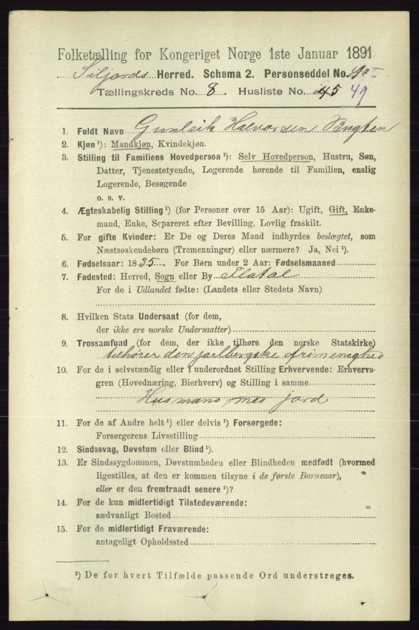 RA, 1891 census for 0828 Seljord, 1891, p. 3115