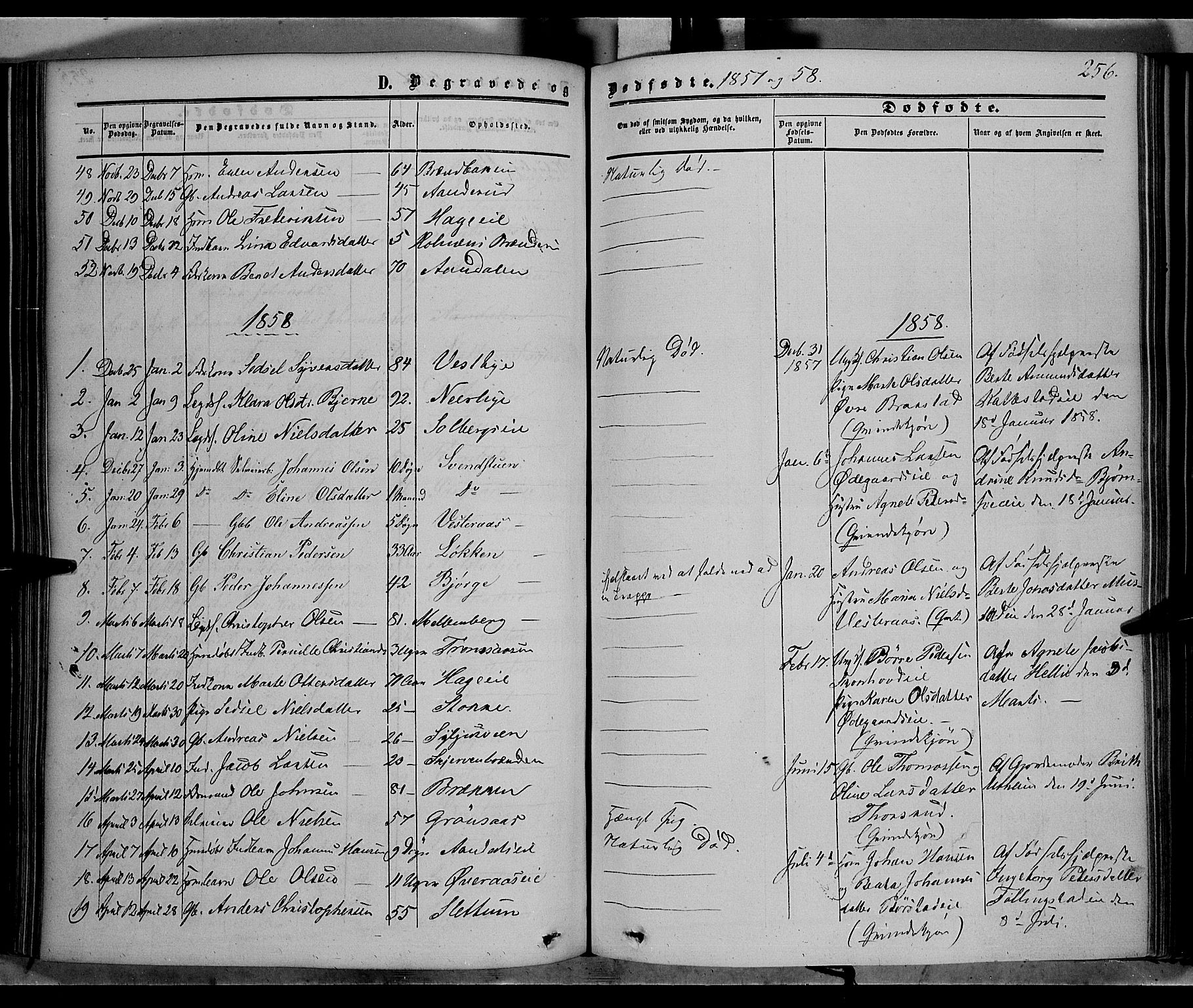 Vardal prestekontor, SAH/PREST-100/H/Ha/Haa/L0006: Parish register (official) no. 6, 1854-1866, p. 256