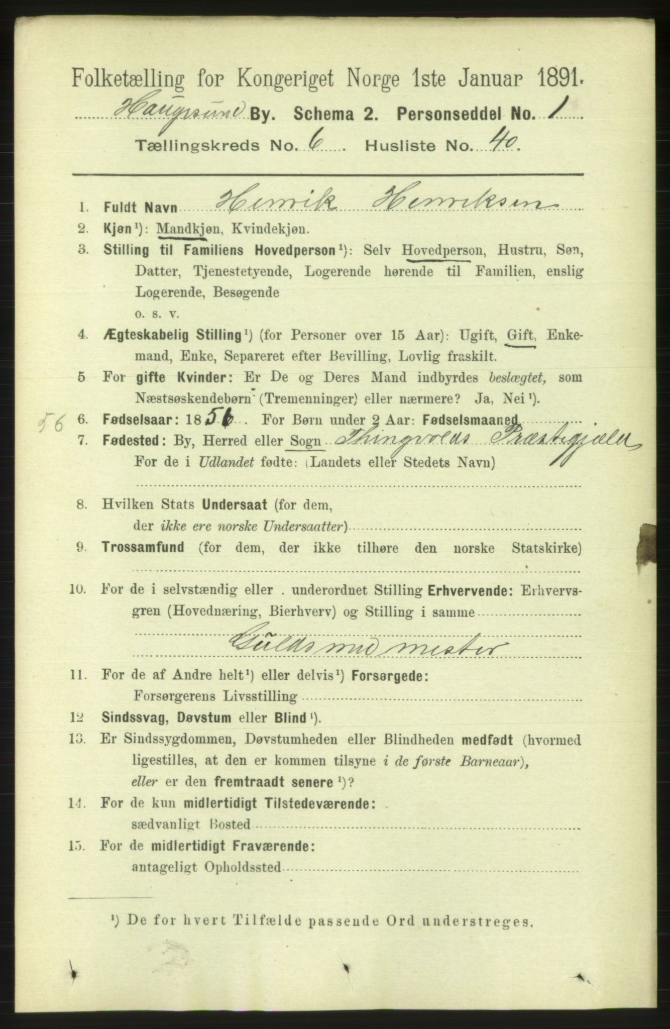 RA, 1891 census for 1106 Haugesund, 1891, p. 3052