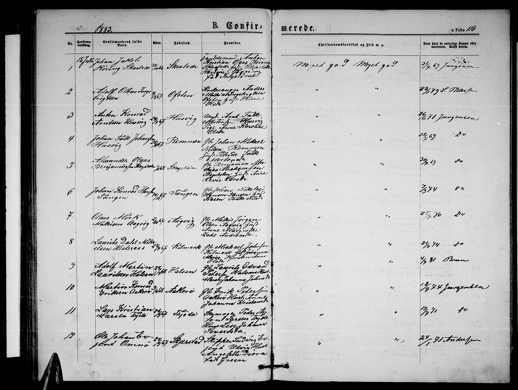 Ministerialprotokoller, klokkerbøker og fødselsregistre - Nordland, AV/SAT-A-1459/817/L0267: Parish register (copy) no. 817C02, 1870-1883, p. 116