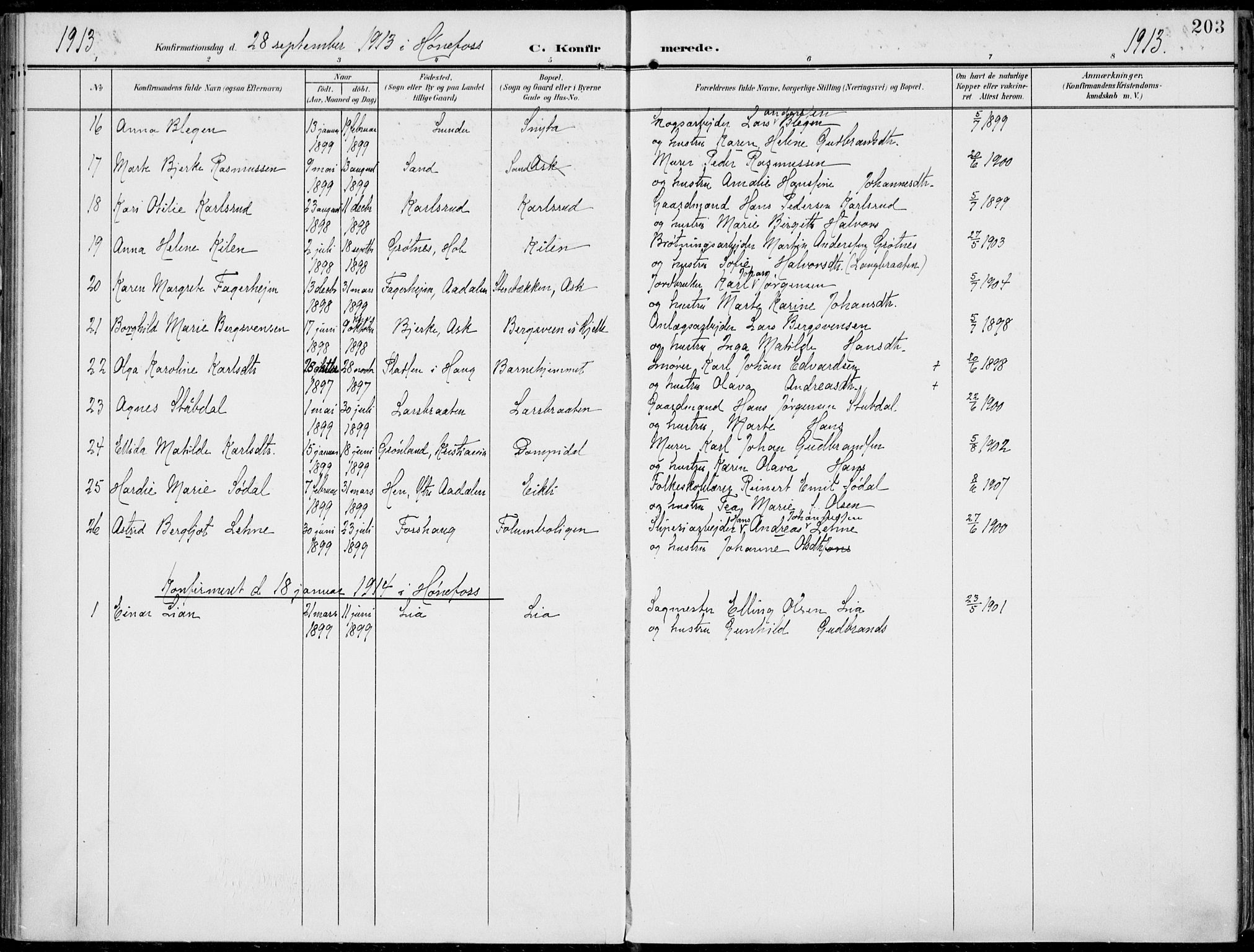 Norderhov kirkebøker, AV/SAKO-A-237/F/Fa/L0017: Parish register (official) no. 17, 1903-1919, p. 203