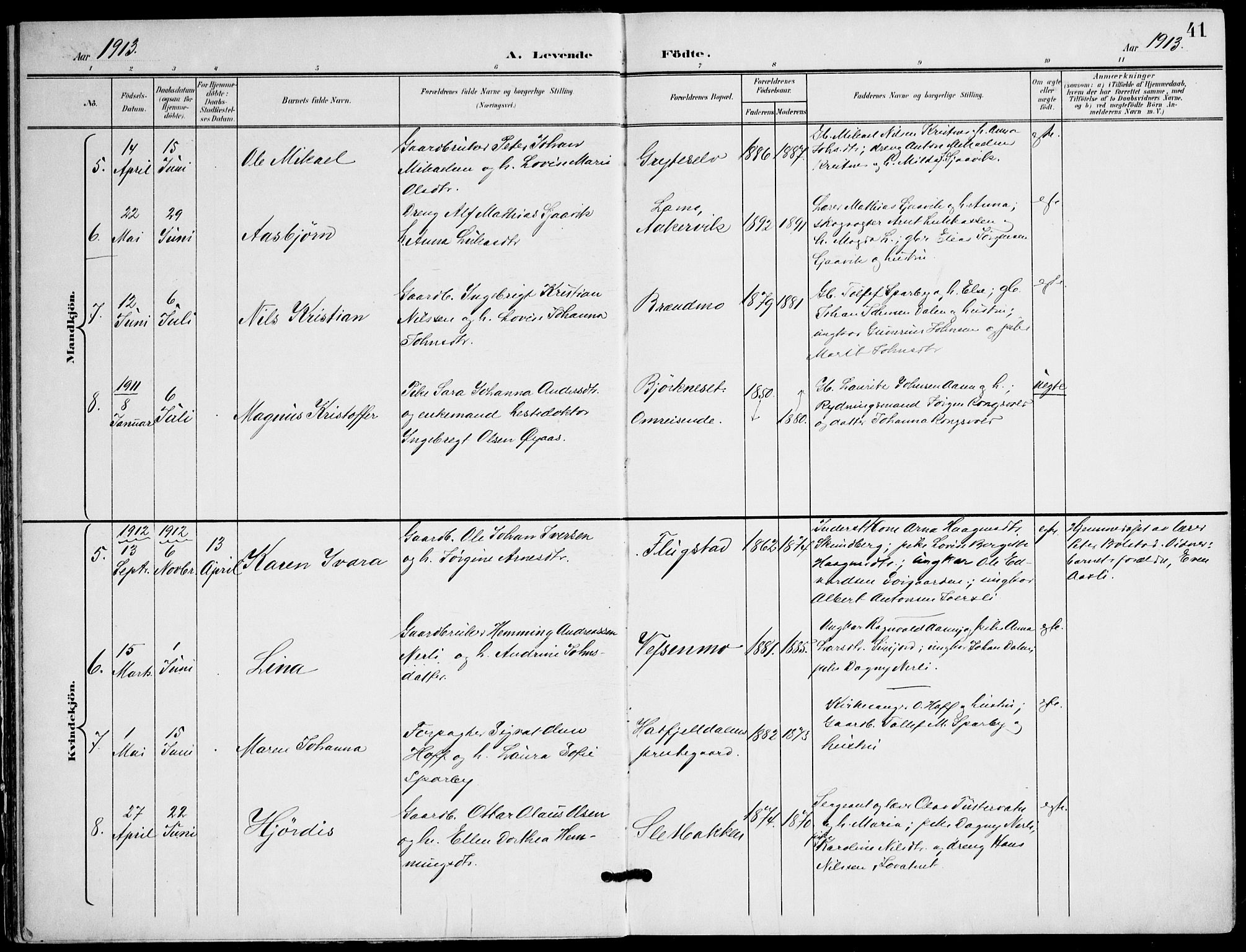 Ministerialprotokoller, klokkerbøker og fødselsregistre - Nordland, AV/SAT-A-1459/823/L0326: Parish register (official) no. 823A03, 1899-1919, p. 41