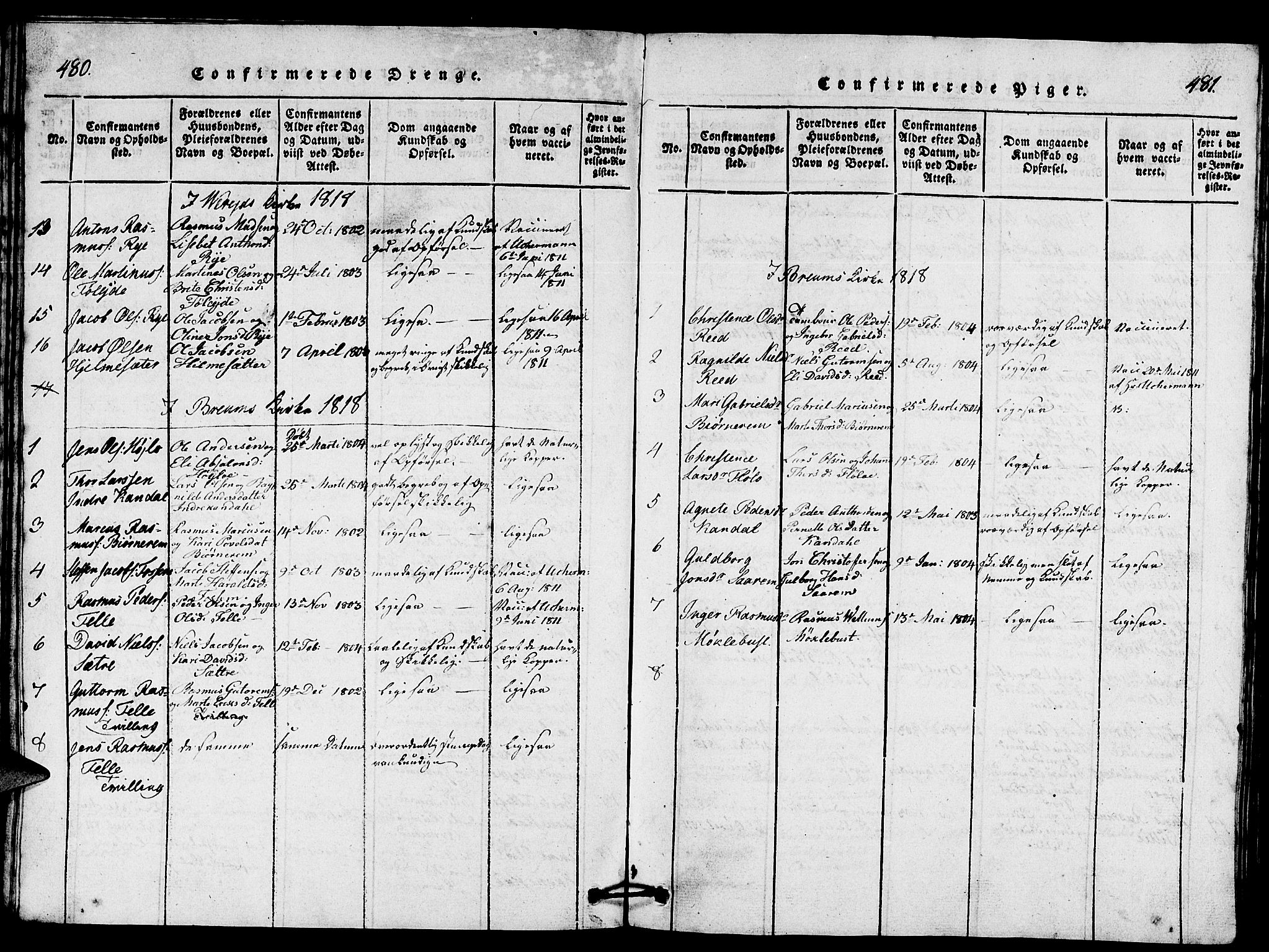 Gloppen sokneprestembete, SAB/A-80101/H/Hab/Haba/L0001: Parish register (copy) no. A 1, 1816-1827, p. 480-481