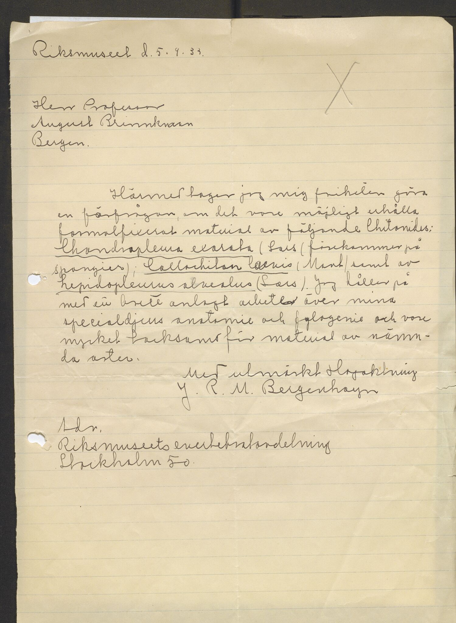 Bergens Museum, AV/SAB-A-17301/13/D/L0002: Korrespondanse , 1928-1940, p. 342