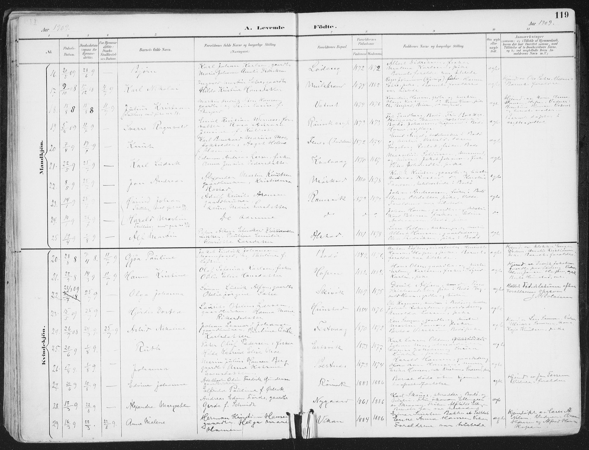 Ministerialprotokoller, klokkerbøker og fødselsregistre - Nordland, AV/SAT-A-1459/802/L0055: Parish register (official) no. 802A02, 1894-1915, p. 119