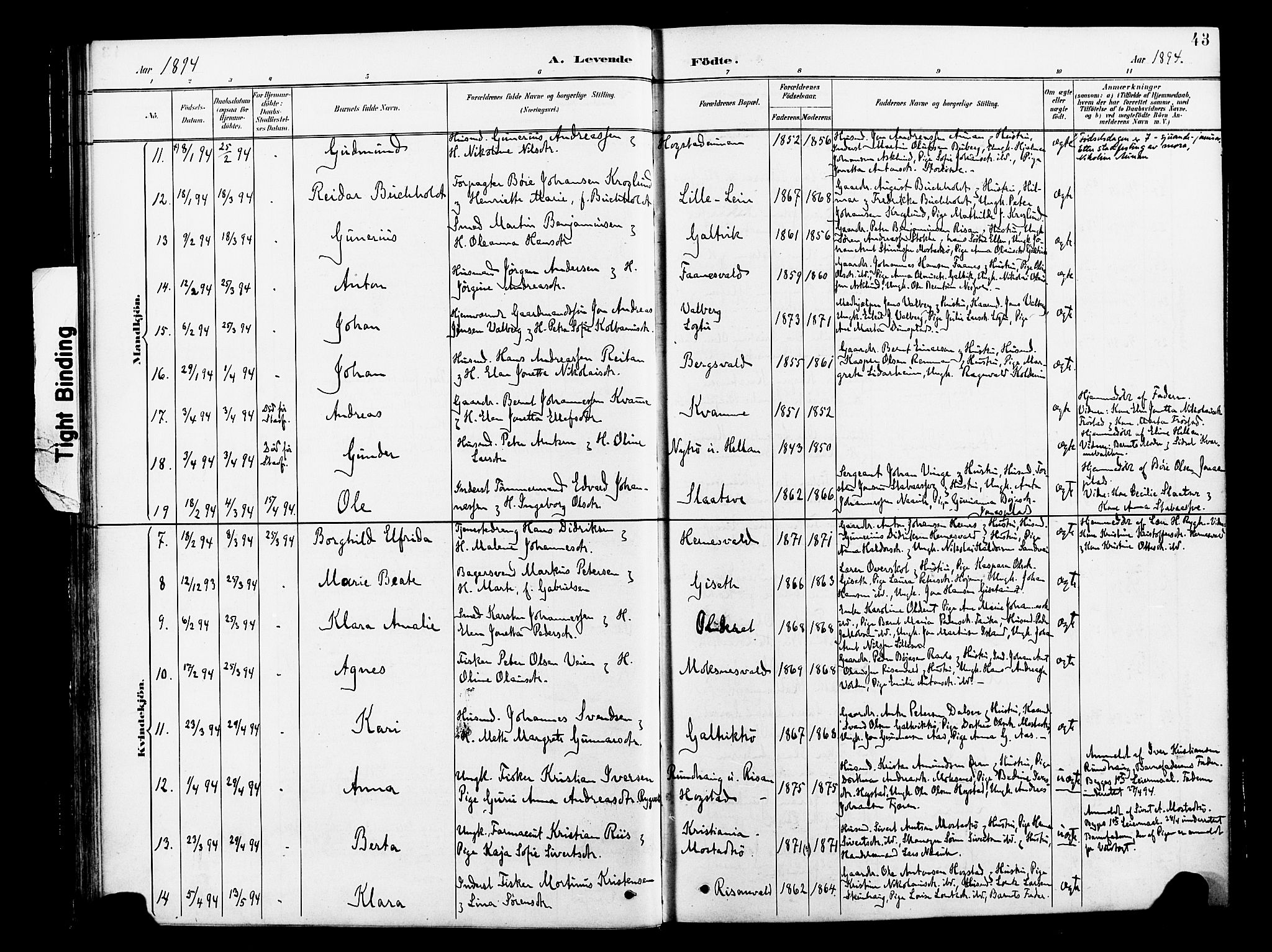 Ministerialprotokoller, klokkerbøker og fødselsregistre - Nord-Trøndelag, AV/SAT-A-1458/713/L0121: Parish register (official) no. 713A10, 1888-1898, p. 43