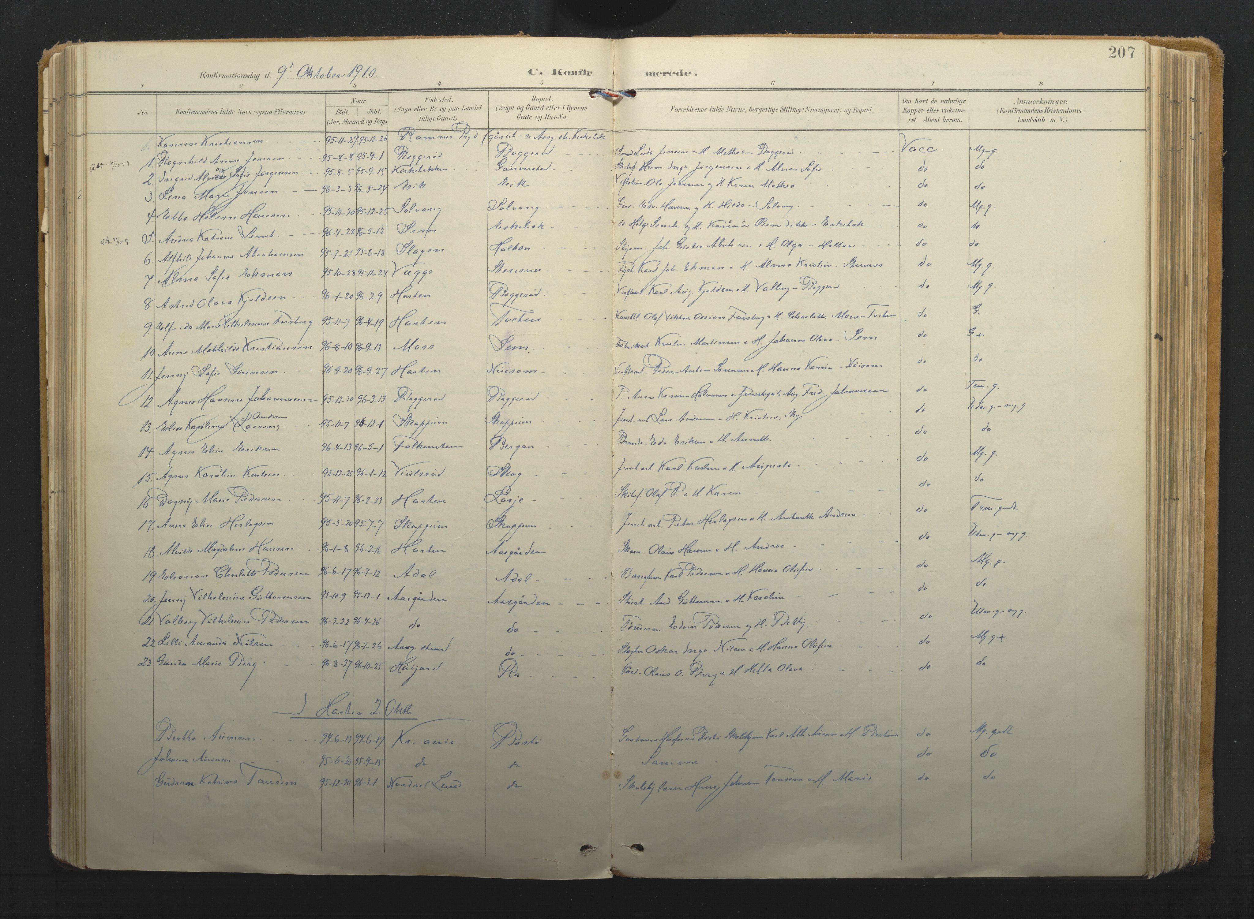 Borre kirkebøker, AV/SAKO-A-338/F/Fa/L0011: Parish register (official) no. I 11, 1897-1921, p. 207