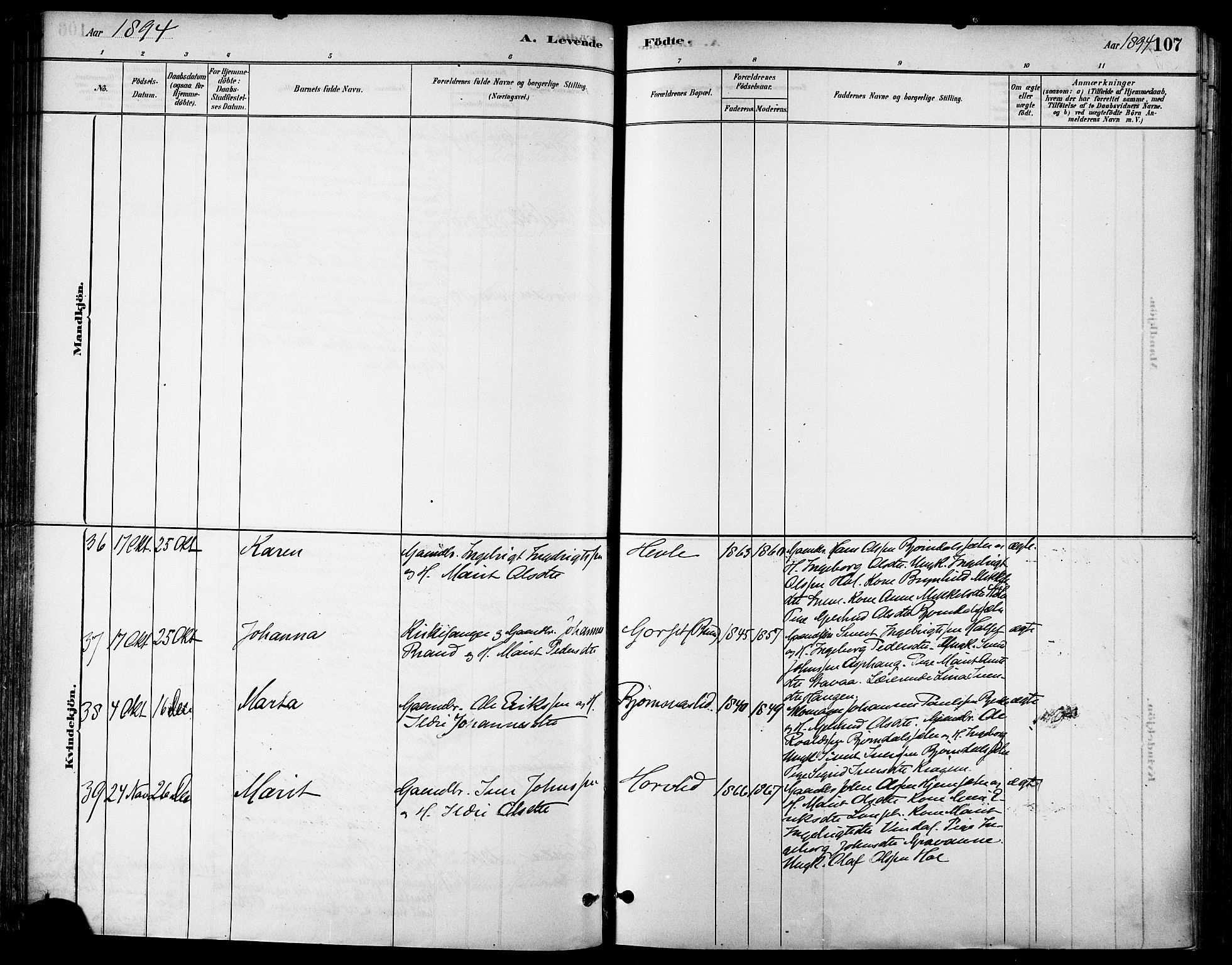 Ministerialprotokoller, klokkerbøker og fødselsregistre - Sør-Trøndelag, SAT/A-1456/678/L0901: Parish register (official) no. 678A10, 1881-1894, p. 107