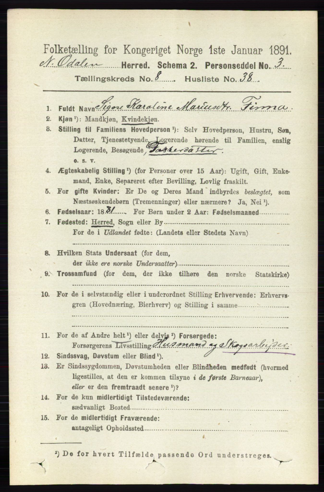 RA, 1891 census for 0418 Nord-Odal, 1891, p. 3529