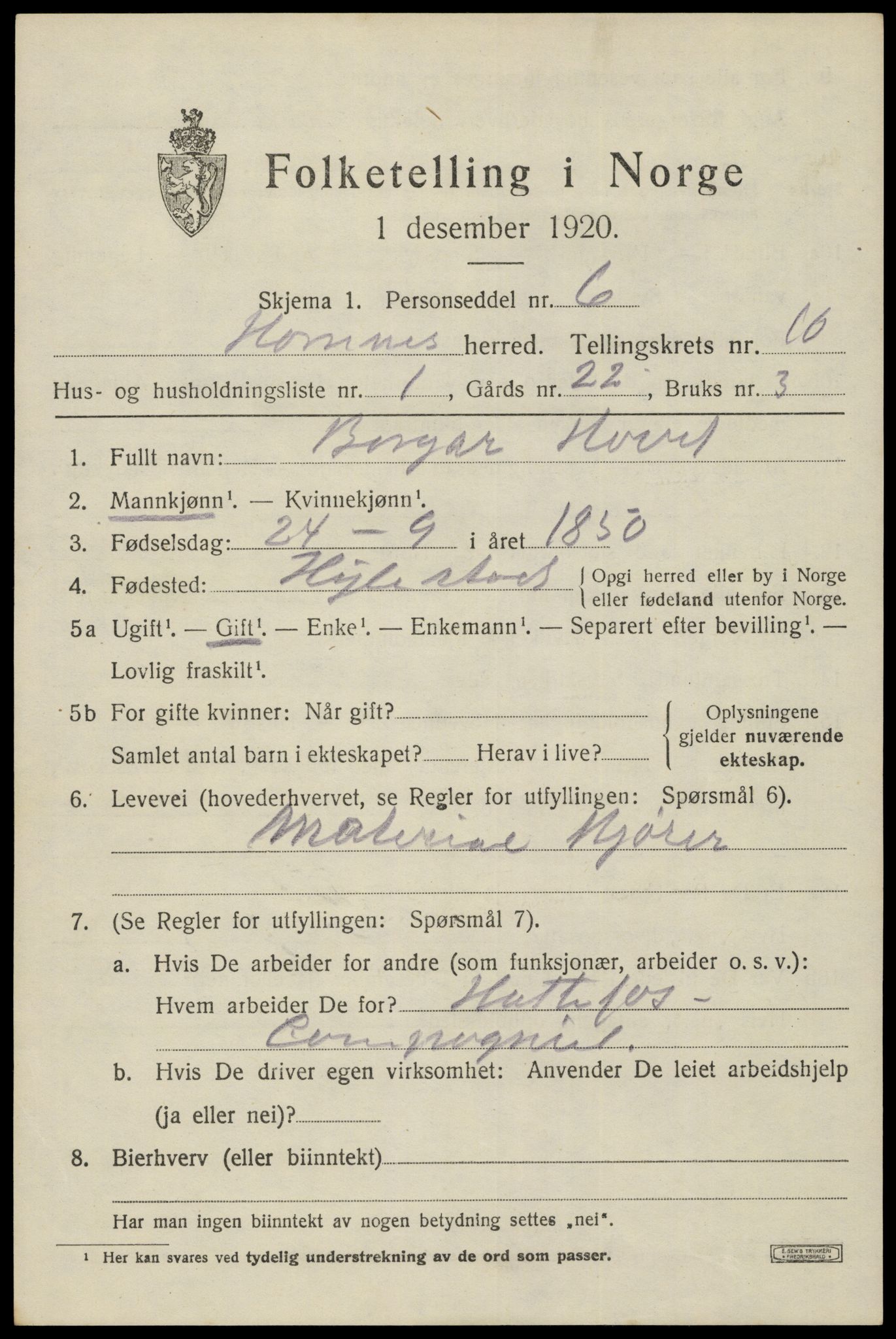 SAK, 1920 census for Hornnes, 1920, p. 2517