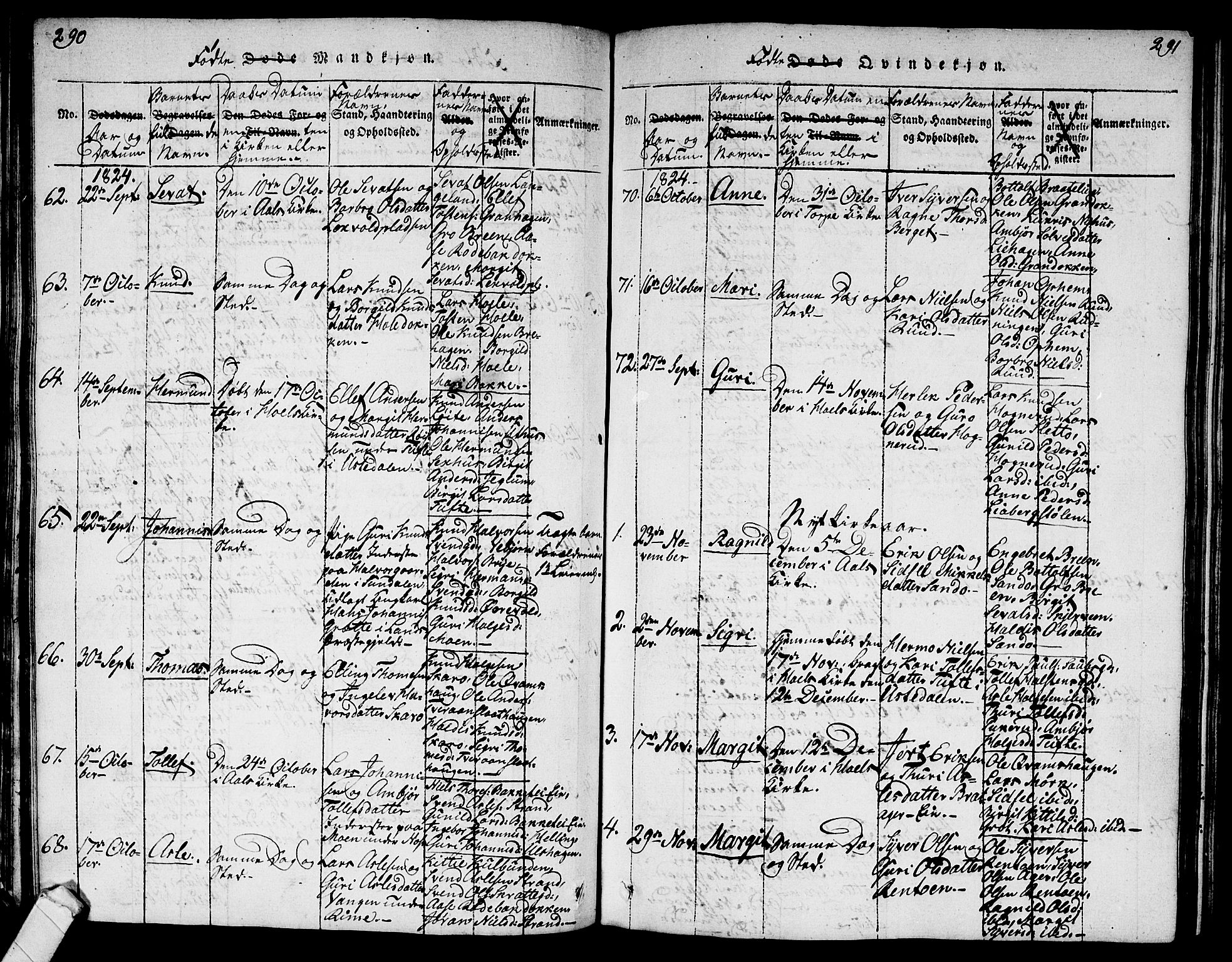 Ål kirkebøker, AV/SAKO-A-249/G/Ga/L0001: Parish register (copy) no. 1, 1815-1829, p. 290-291