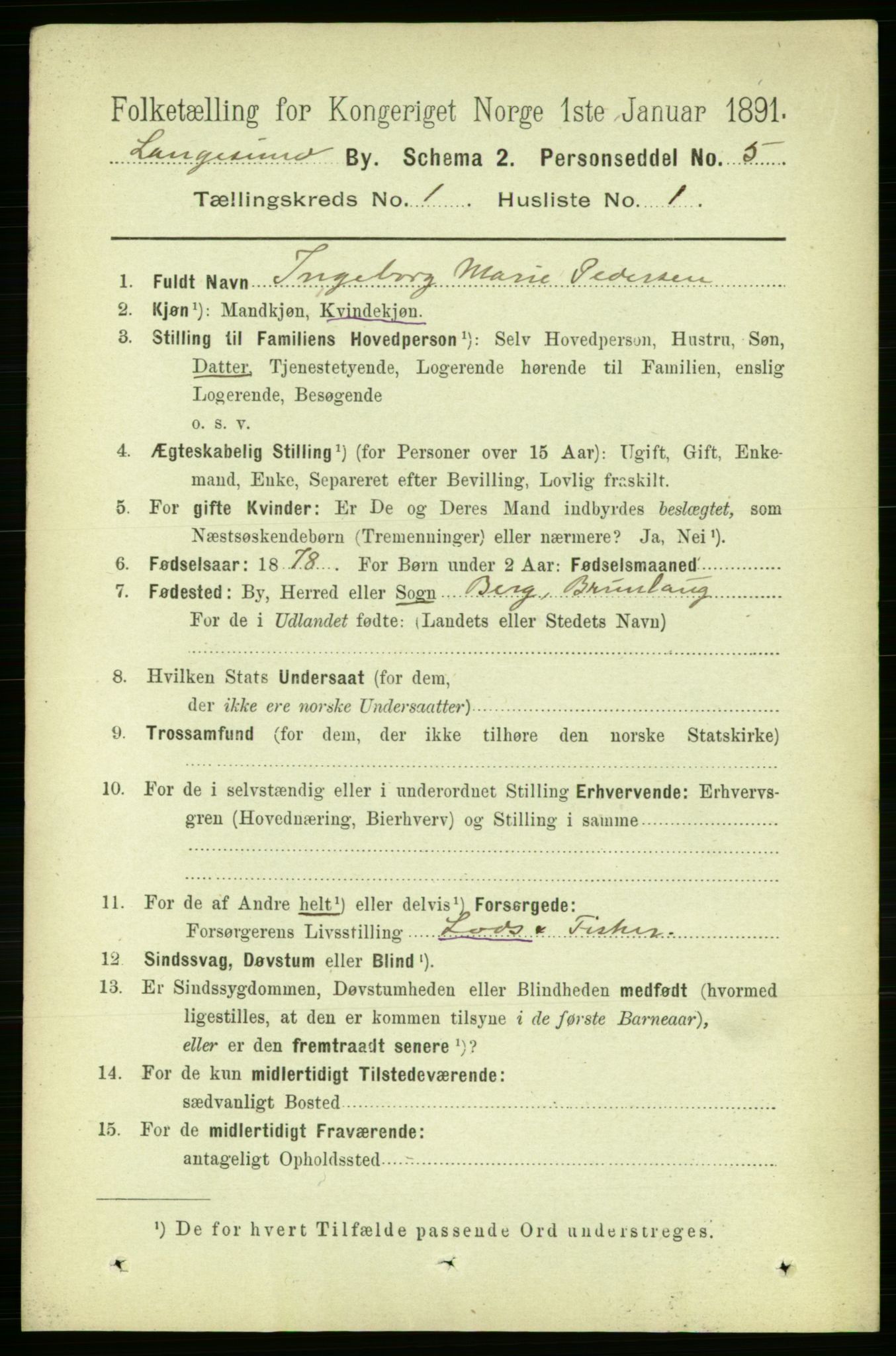 RA, 1891 census for 0802 Langesund, 1891, p. 507