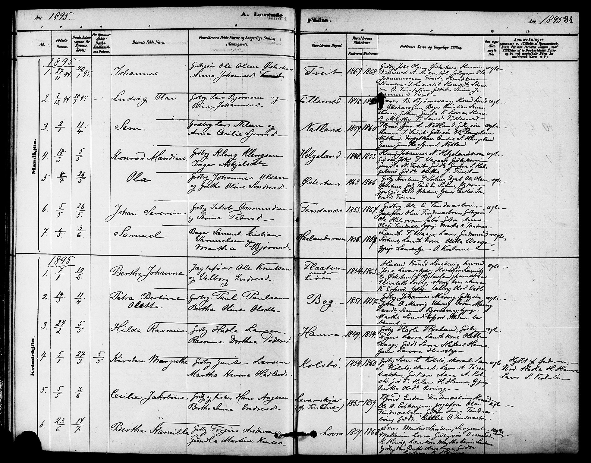 Jelsa sokneprestkontor, AV/SAST-A-101842/01/IV: Parish register (official) no. A 9, 1878-1898, p. 34