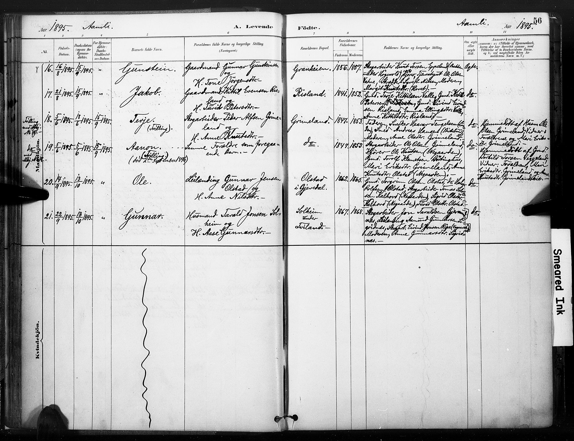 Åmli sokneprestkontor, AV/SAK-1111-0050/F/Fa/Fac/L0010: Parish register (official) no. A 10 /1, 1885-1899, p. 56