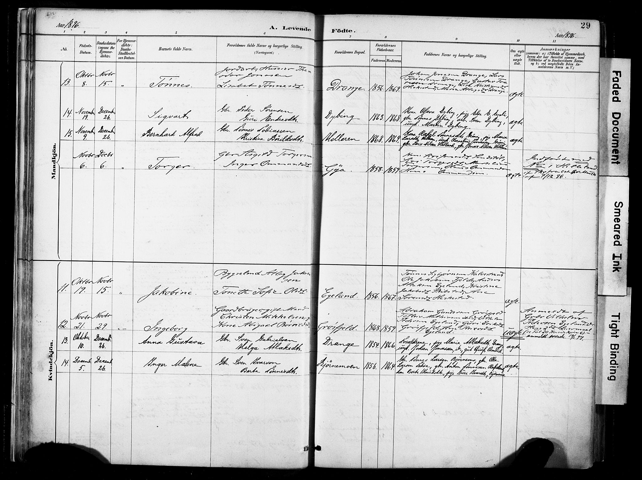 Lund sokneprestkontor, AV/SAST-A-101809/S06/L0012: Parish register (official) no. A 11, 1887-1921, p. 29