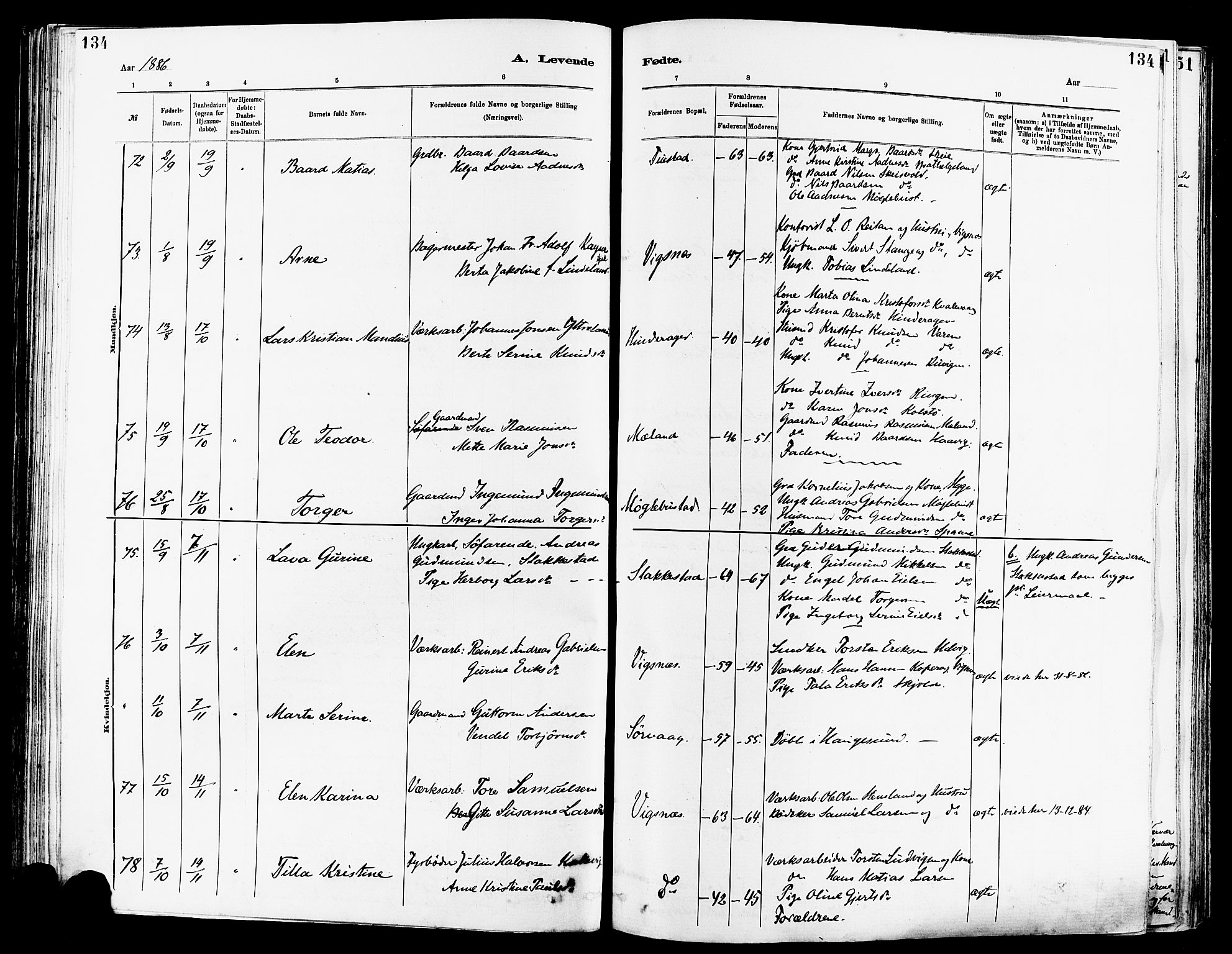 Avaldsnes sokneprestkontor, AV/SAST-A -101851/H/Ha/Haa/L0014: Parish register (official) no. A 14, 1880-1889, p. 134