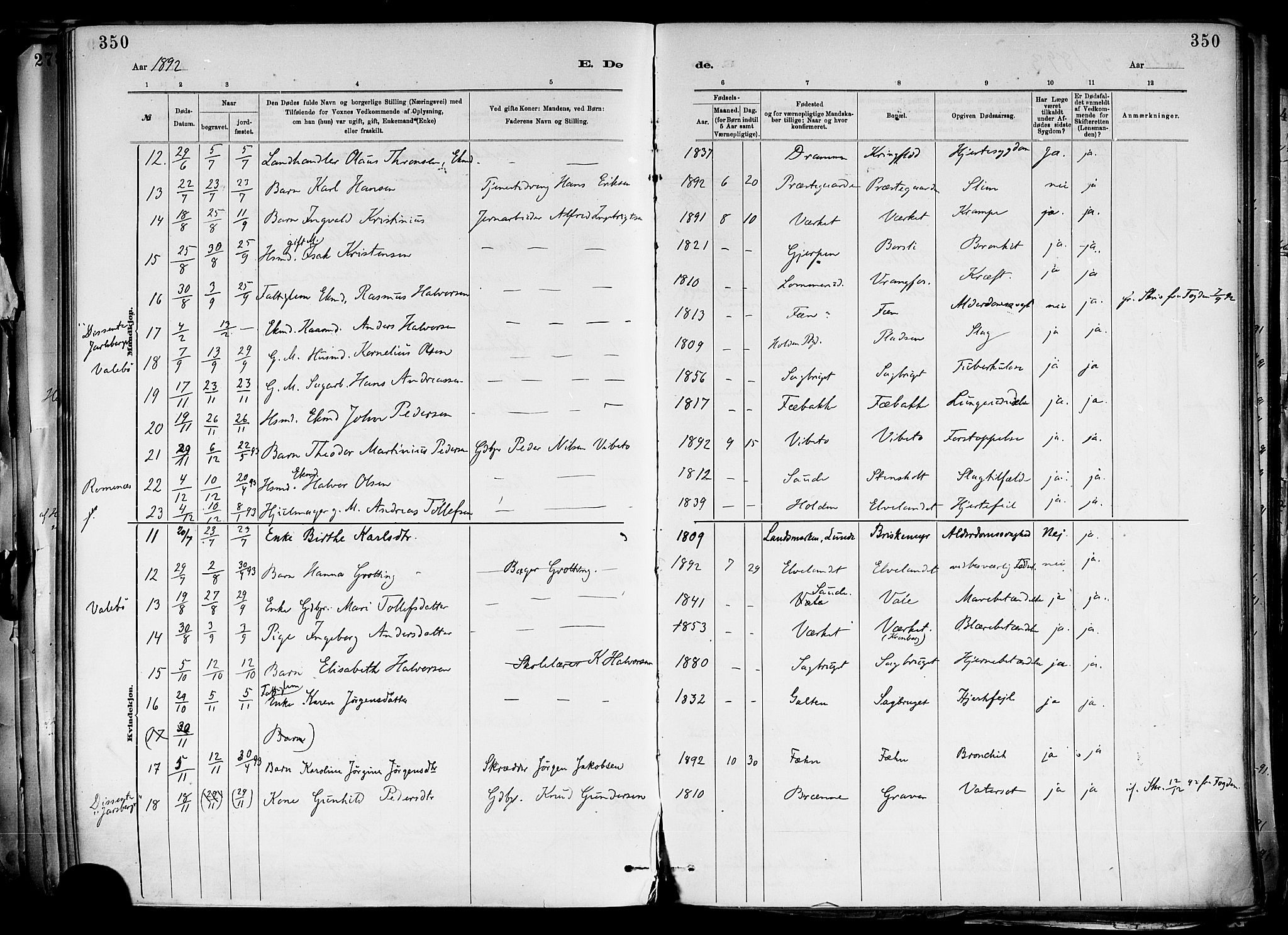 Holla kirkebøker, SAKO/A-272/F/Fa/L0008: Parish register (official) no. 8, 1882-1897, p. 350