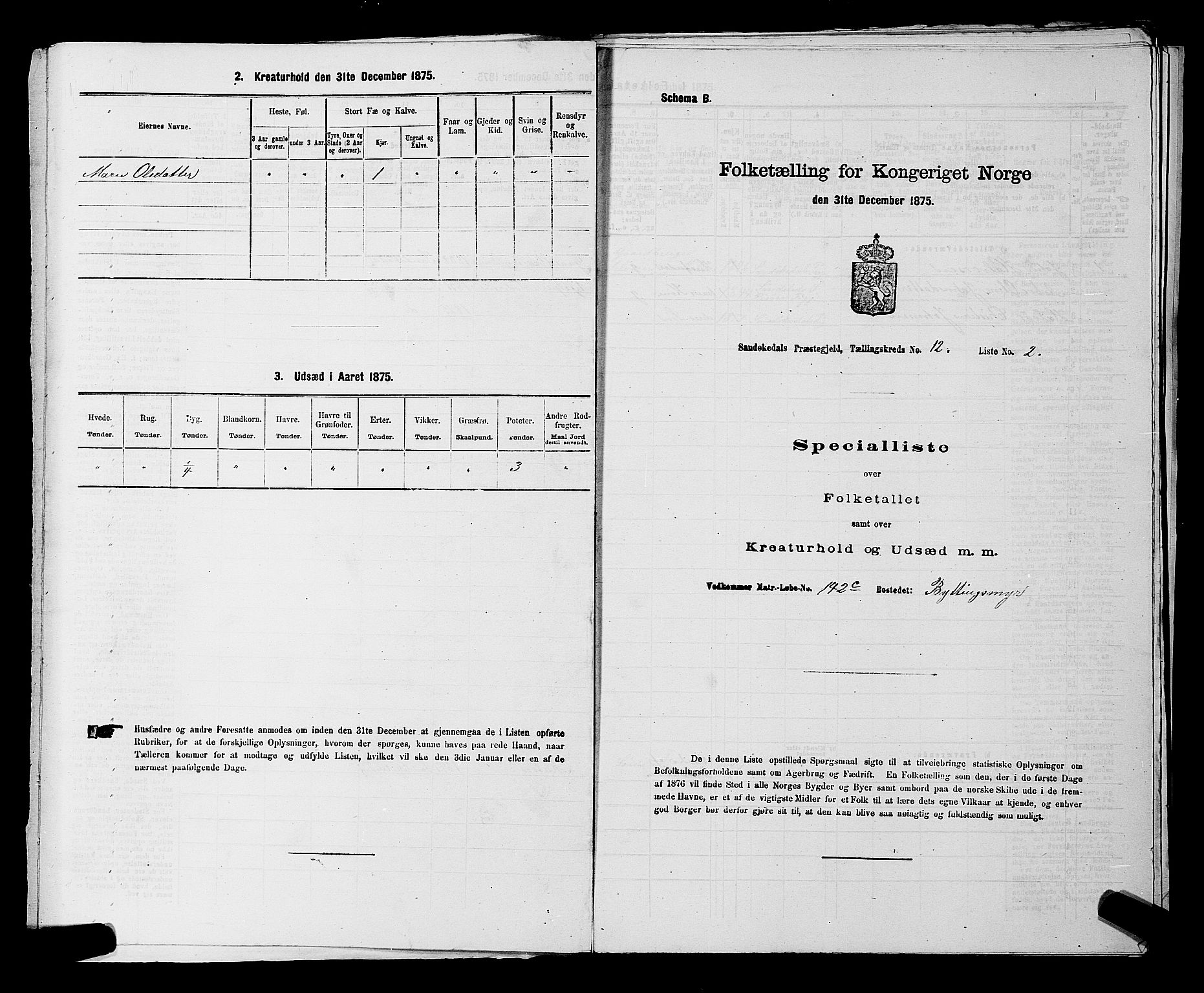 SAKO, 1875 census for 0816P Sannidal, 1875, p. 815