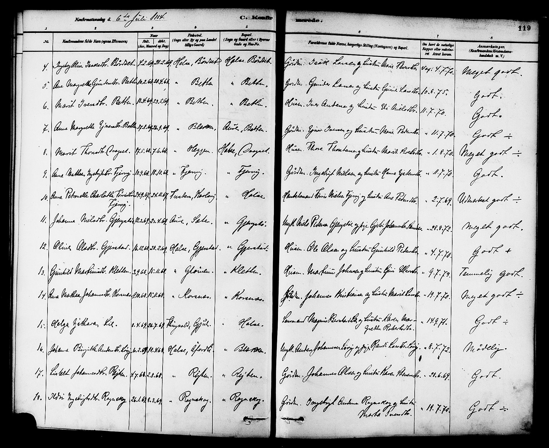 Ministerialprotokoller, klokkerbøker og fødselsregistre - Møre og Romsdal, SAT/A-1454/576/L0885: Parish register (official) no. 576A03, 1880-1898, p. 119