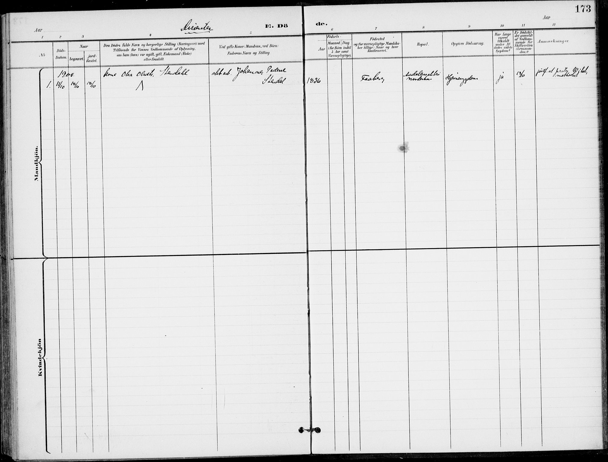 Ådal kirkebøker, SAKO/A-248/F/Fb/L0002: Parish register (official) no. II 2, 1898-1917, p. 173