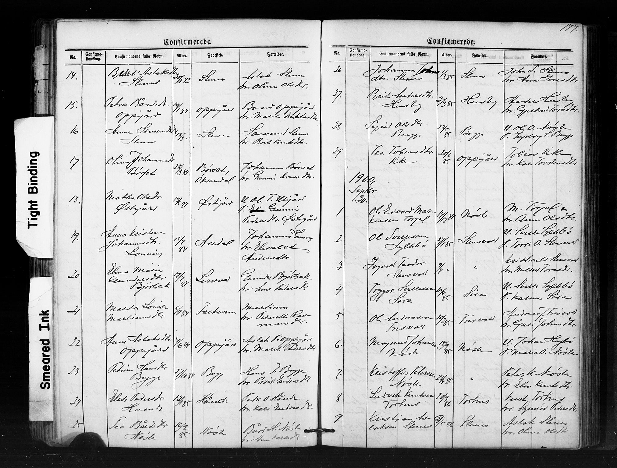 Ministerialprotokoller, klokkerbøker og fødselsregistre - Møre og Romsdal, SAT/A-1454/552/L0638: Parish register (copy) no. 552C01, 1867-1902, p. 177