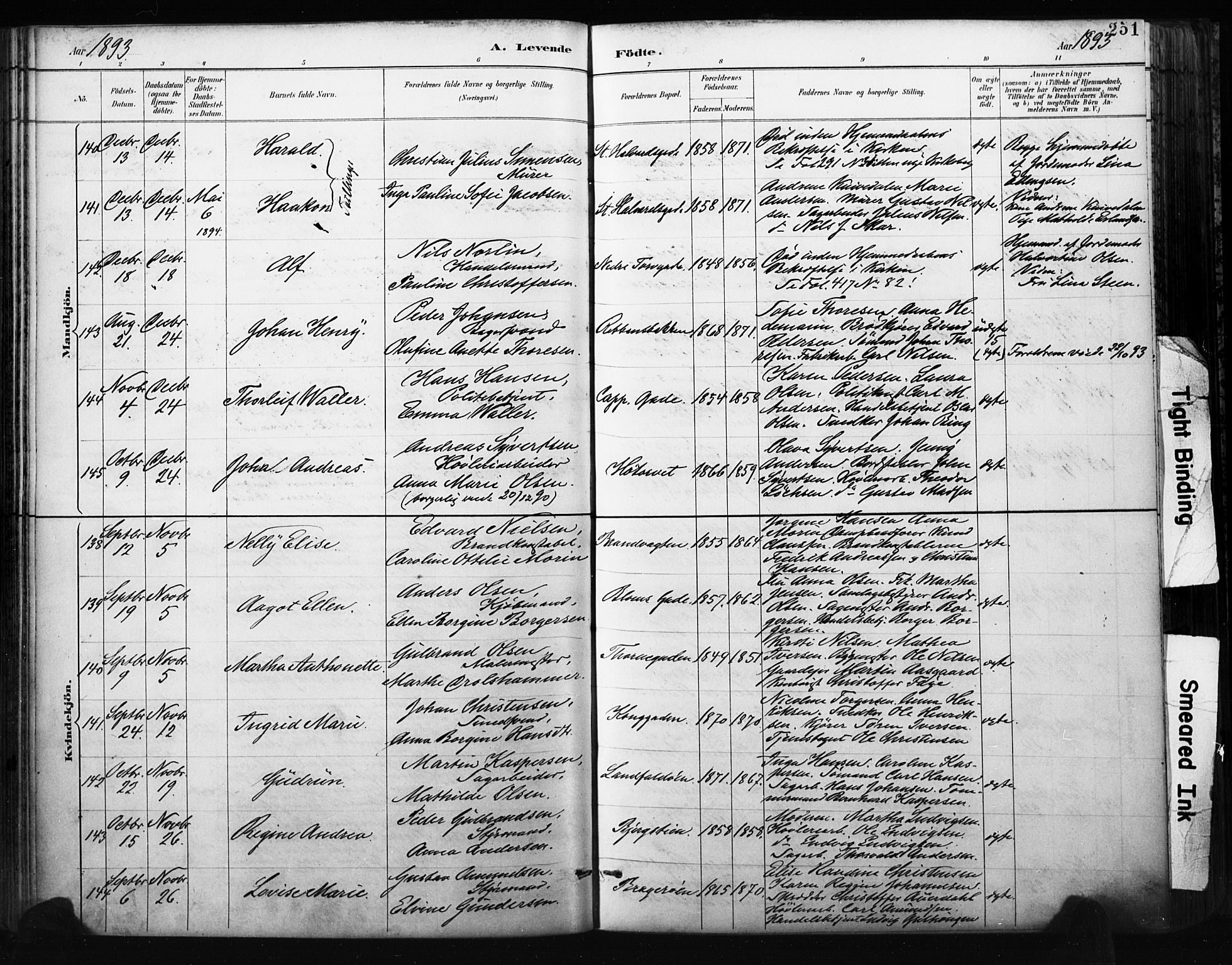 Bragernes kirkebøker, SAKO/A-6/F/Fb/L0007: Parish register (official) no. II 7, 1885-1893, p. 251