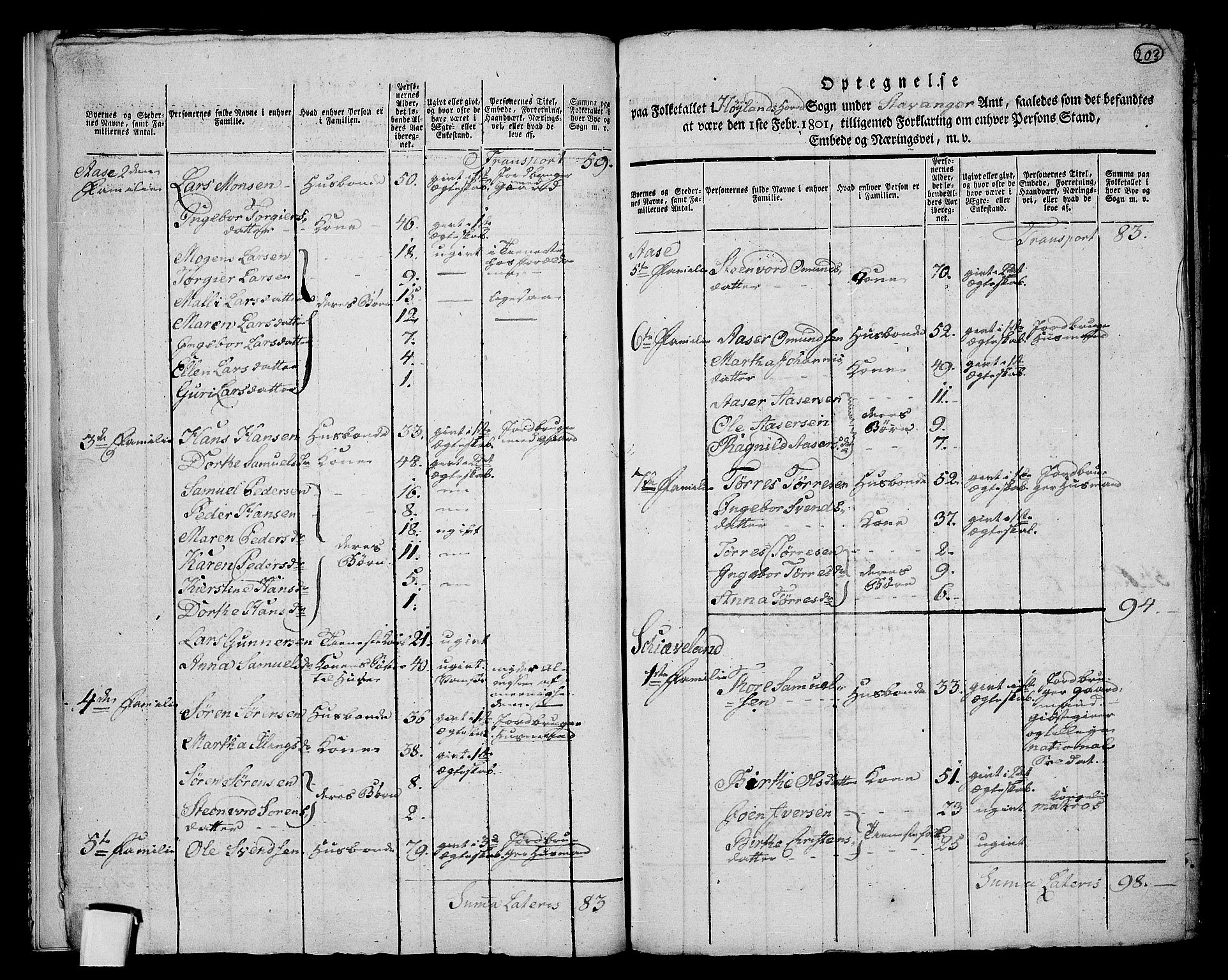 RA, 1801 census for 1123P Høyland, 1801, p. 202b-203a