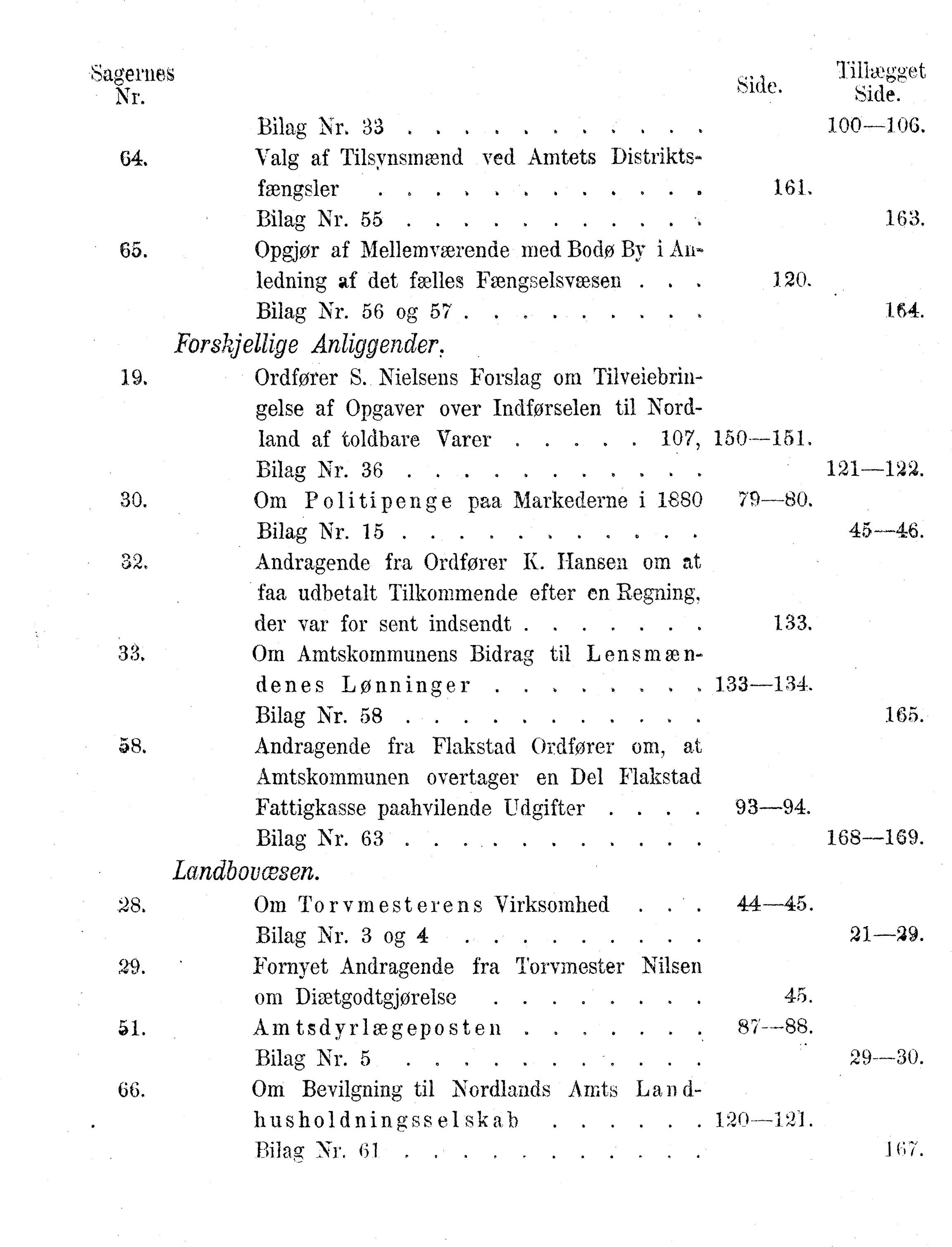 Nordland Fylkeskommune. Fylkestinget, AIN/NFK-17/176/A/Ac/L0010: Fylkestingsforhandlinger 1874-1880, 1874-1880