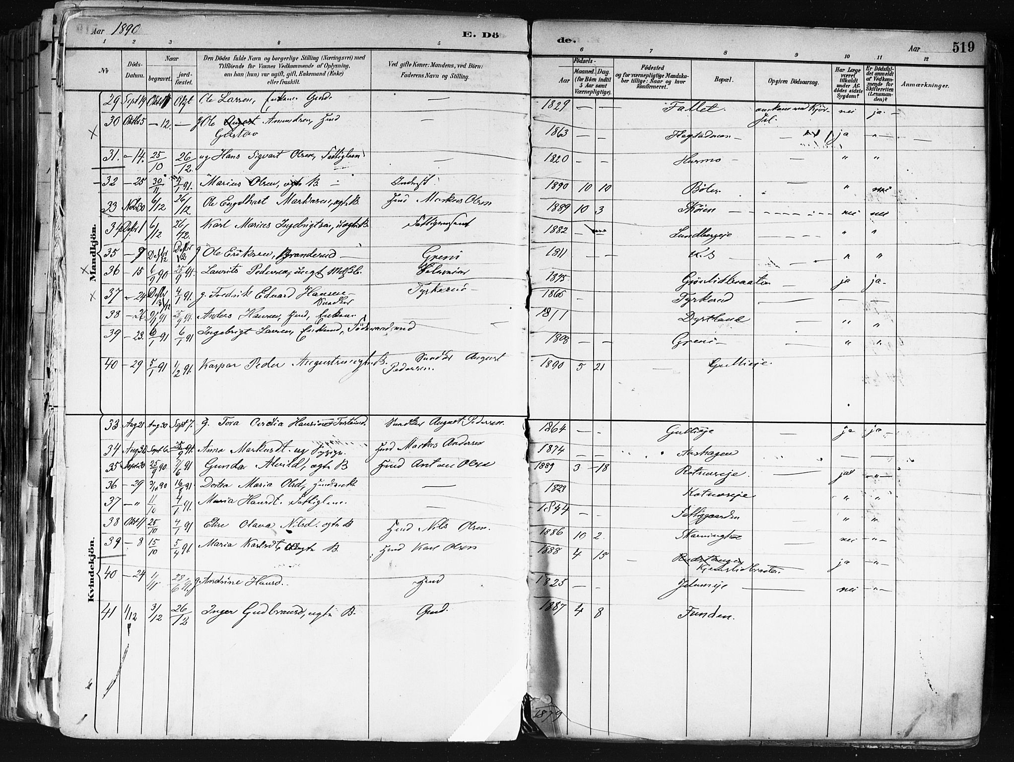 Nes prestekontor Kirkebøker, AV/SAO-A-10410/F/Fa/L0010: Parish register (official) no. I 10, 1883-1898, p. 519