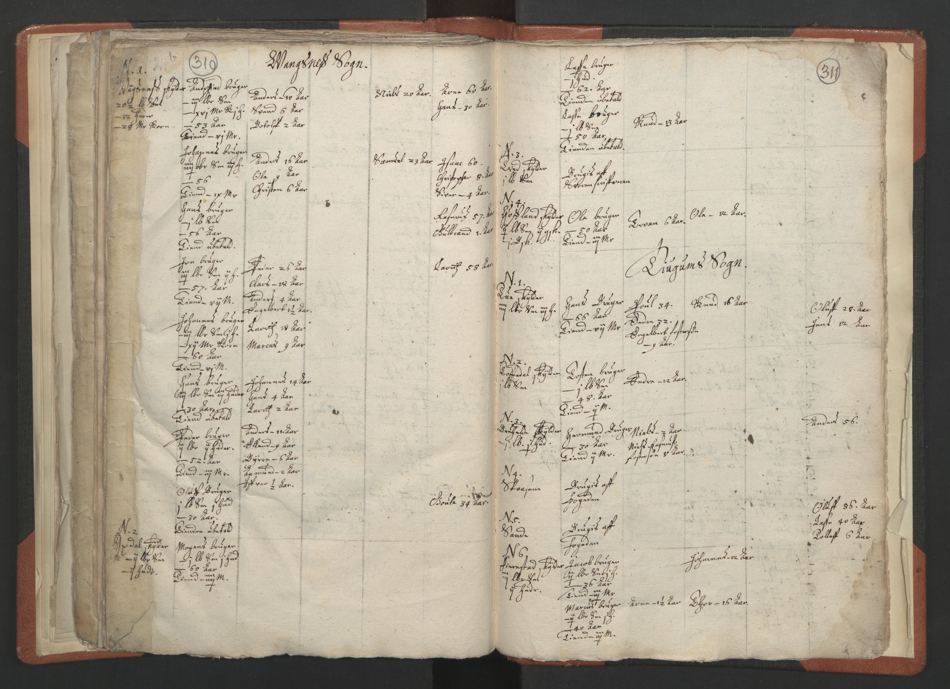 RA, Vicar's Census 1664-1666, no. 23: Sogn deanery, 1664-1666, p. 310-311
