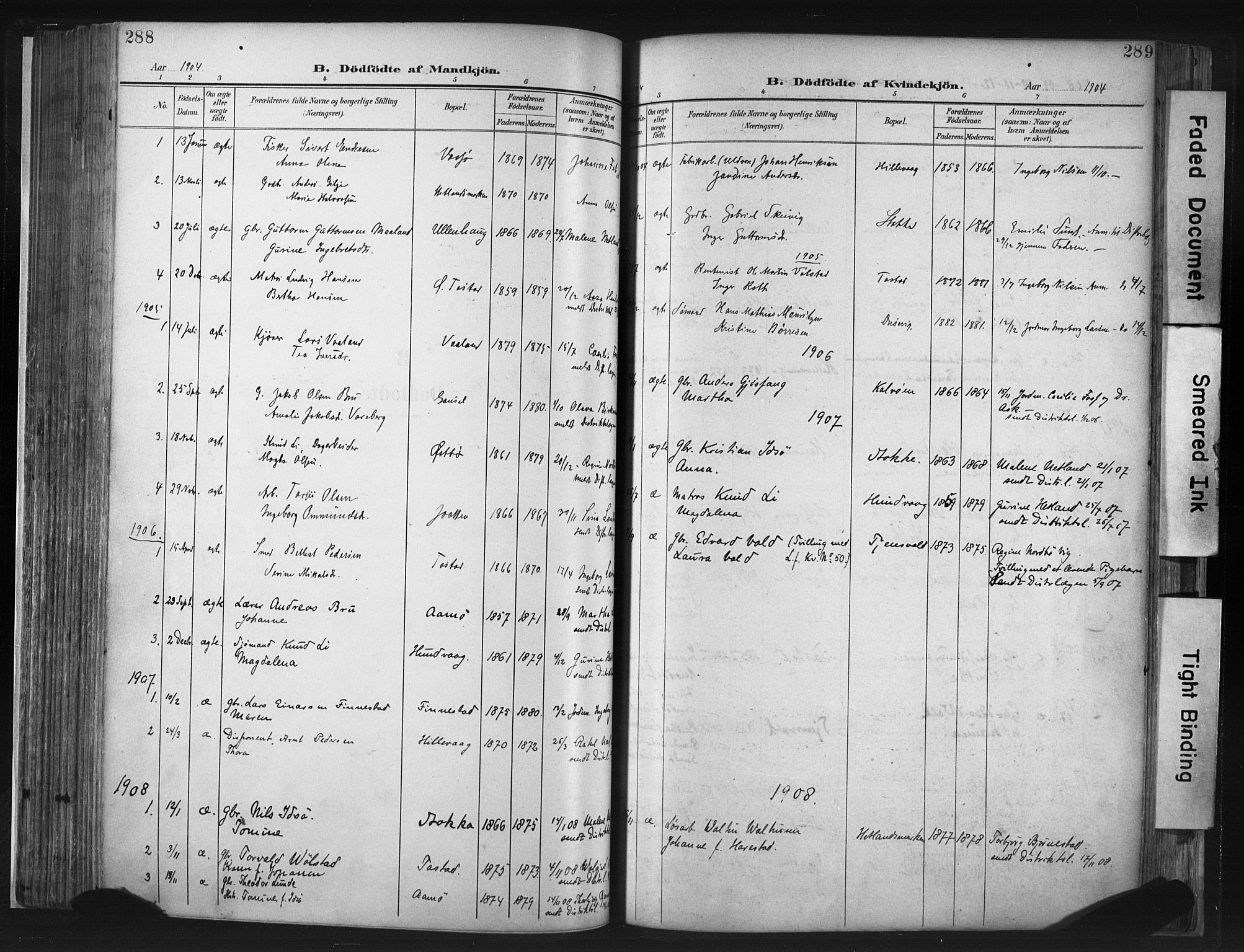 Hetland sokneprestkontor, SAST/A-101826/30/30BA/L0013: Parish register (official) no. A 13, 1904-1918, p. 288-289