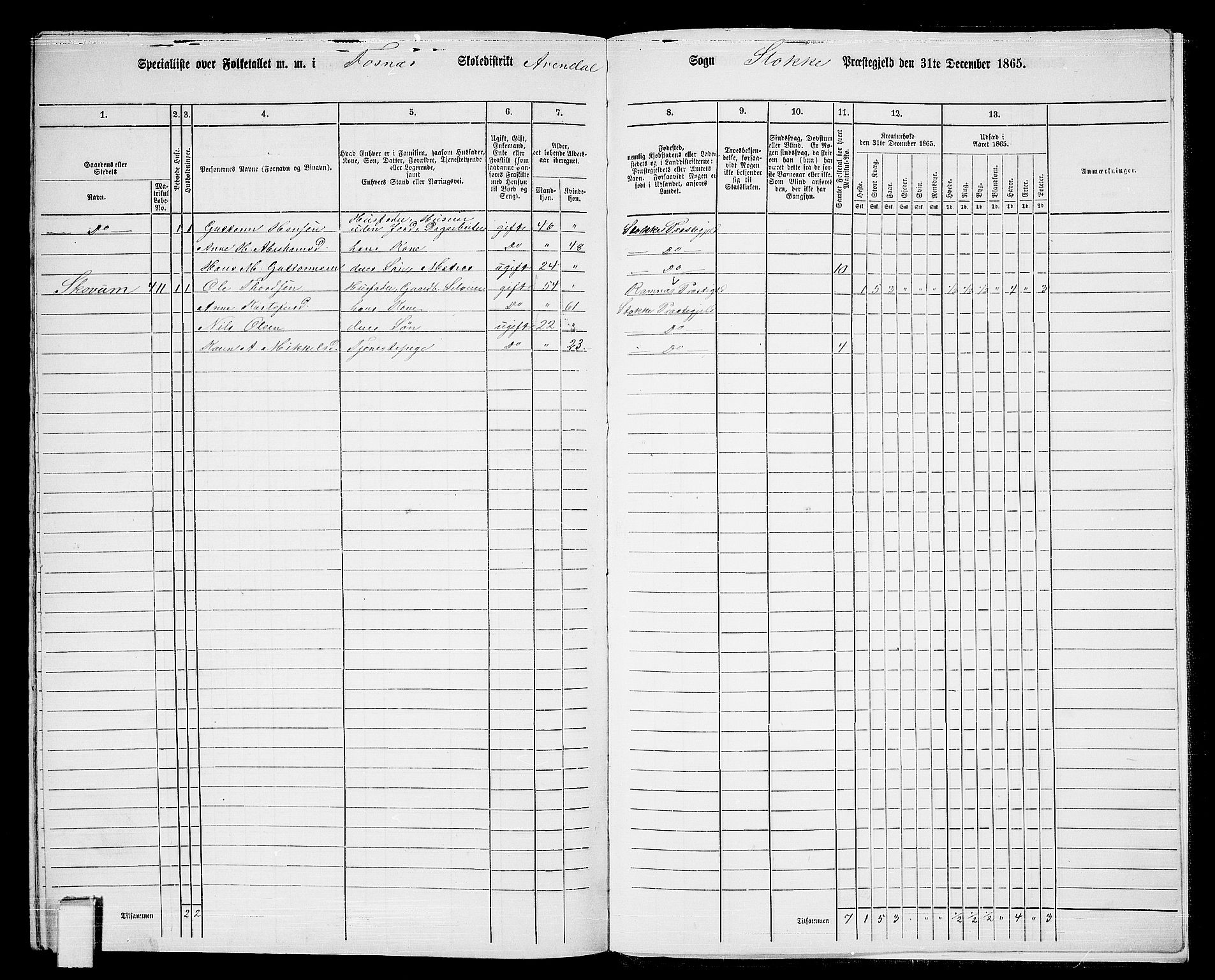 RA, 1865 census for Stokke, 1865, p. 199