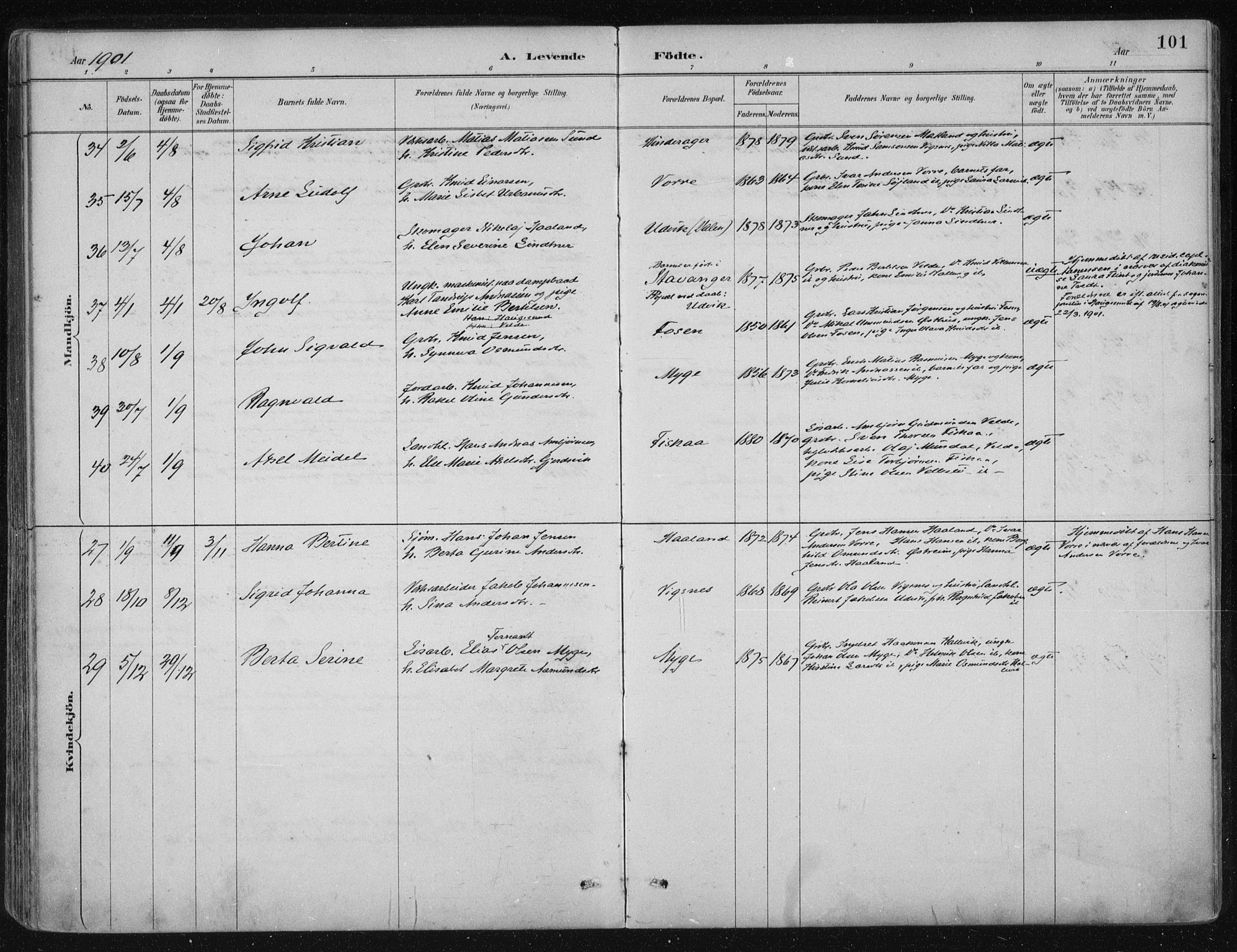 Avaldsnes sokneprestkontor, AV/SAST-A -101851/H/Ha/Haa/L0017: Parish register (official) no. A 17, 1889-1920, p. 101