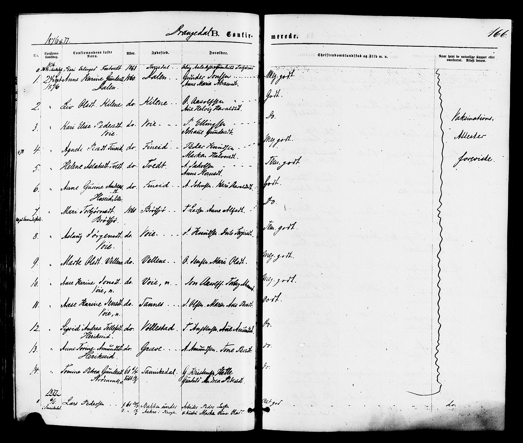 Drangedal kirkebøker, SAKO/A-258/F/Fa/L0009: Parish register (official) no. 9 /1, 1872-1884, p. 166