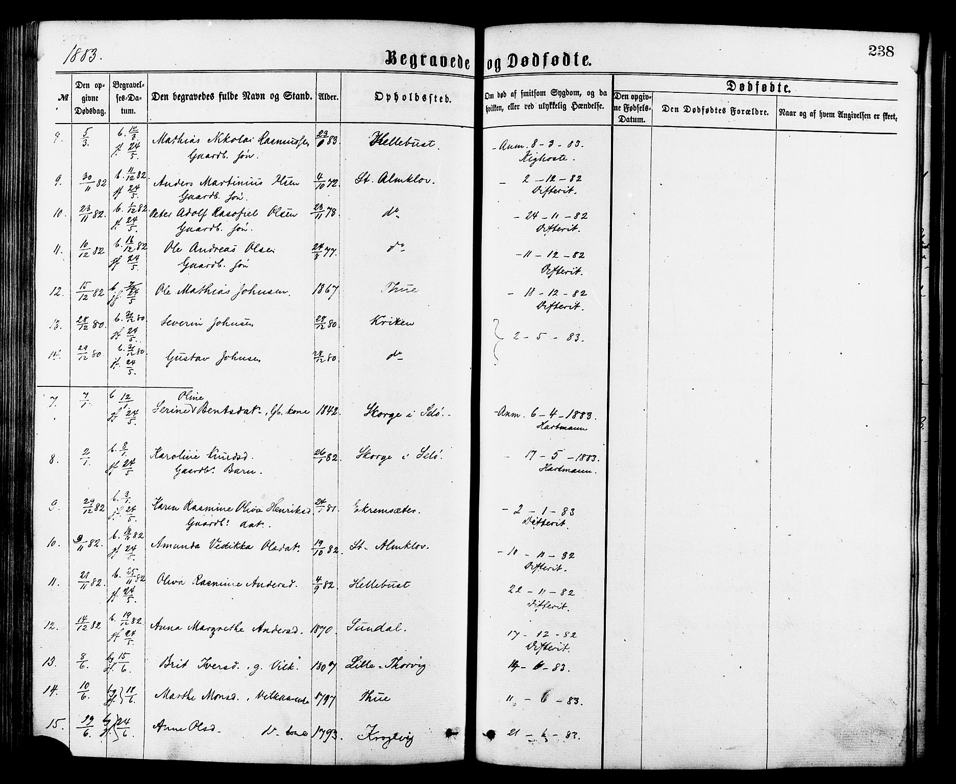 Ministerialprotokoller, klokkerbøker og fødselsregistre - Møre og Romsdal, AV/SAT-A-1454/501/L0007: Parish register (official) no. 501A07, 1868-1884, p. 238