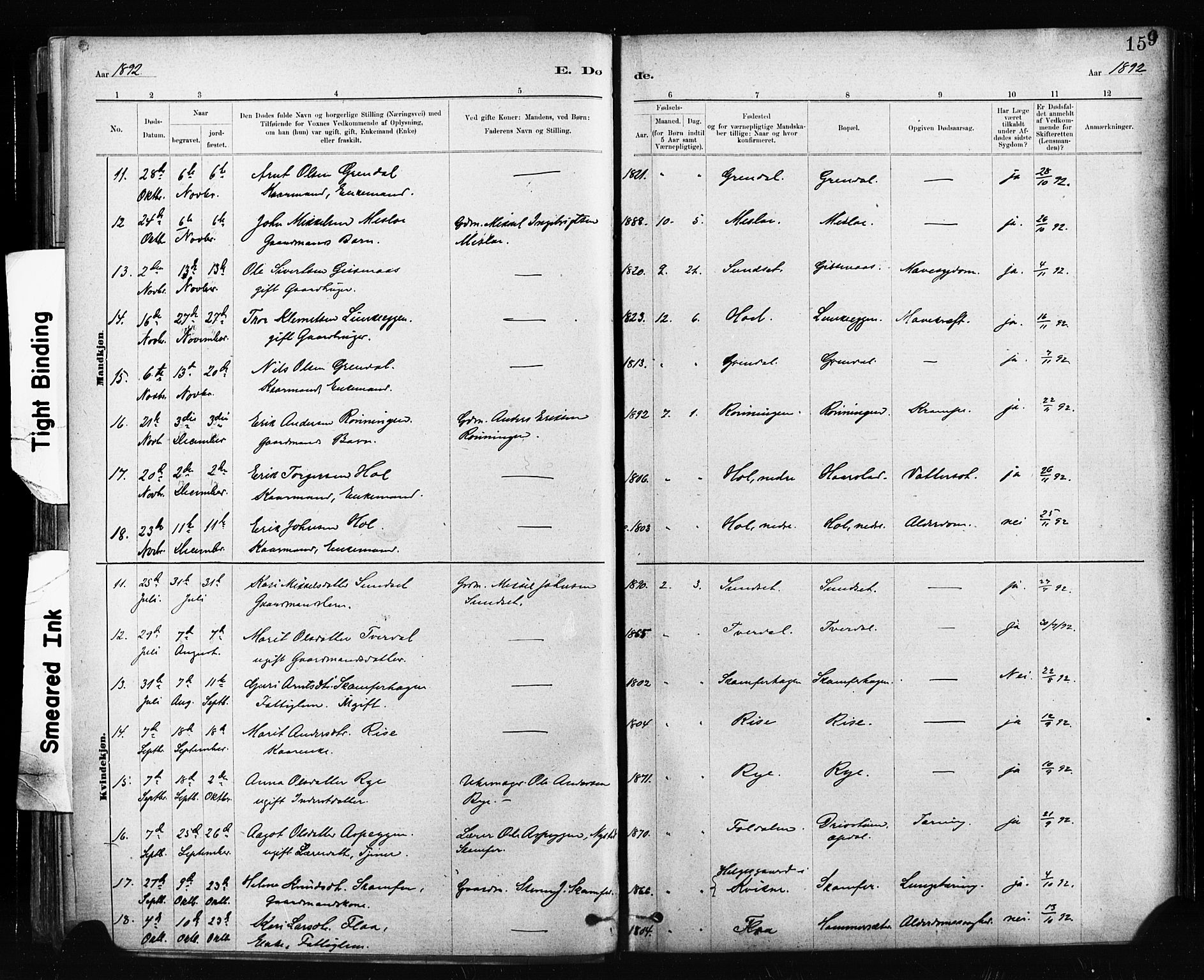 Ministerialprotokoller, klokkerbøker og fødselsregistre - Sør-Trøndelag, AV/SAT-A-1456/674/L0871: Parish register (official) no. 674A03, 1880-1896, p. 159