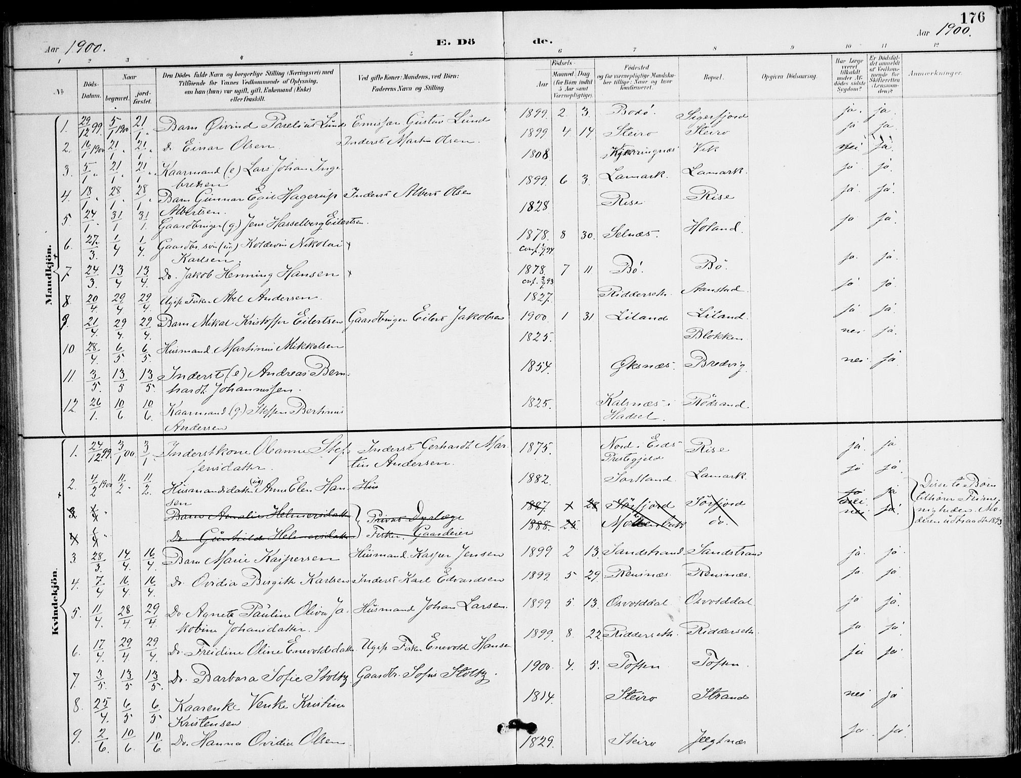 Ministerialprotokoller, klokkerbøker og fødselsregistre - Nordland, AV/SAT-A-1459/895/L1372: Parish register (official) no. 895A07, 1894-1914, p. 176